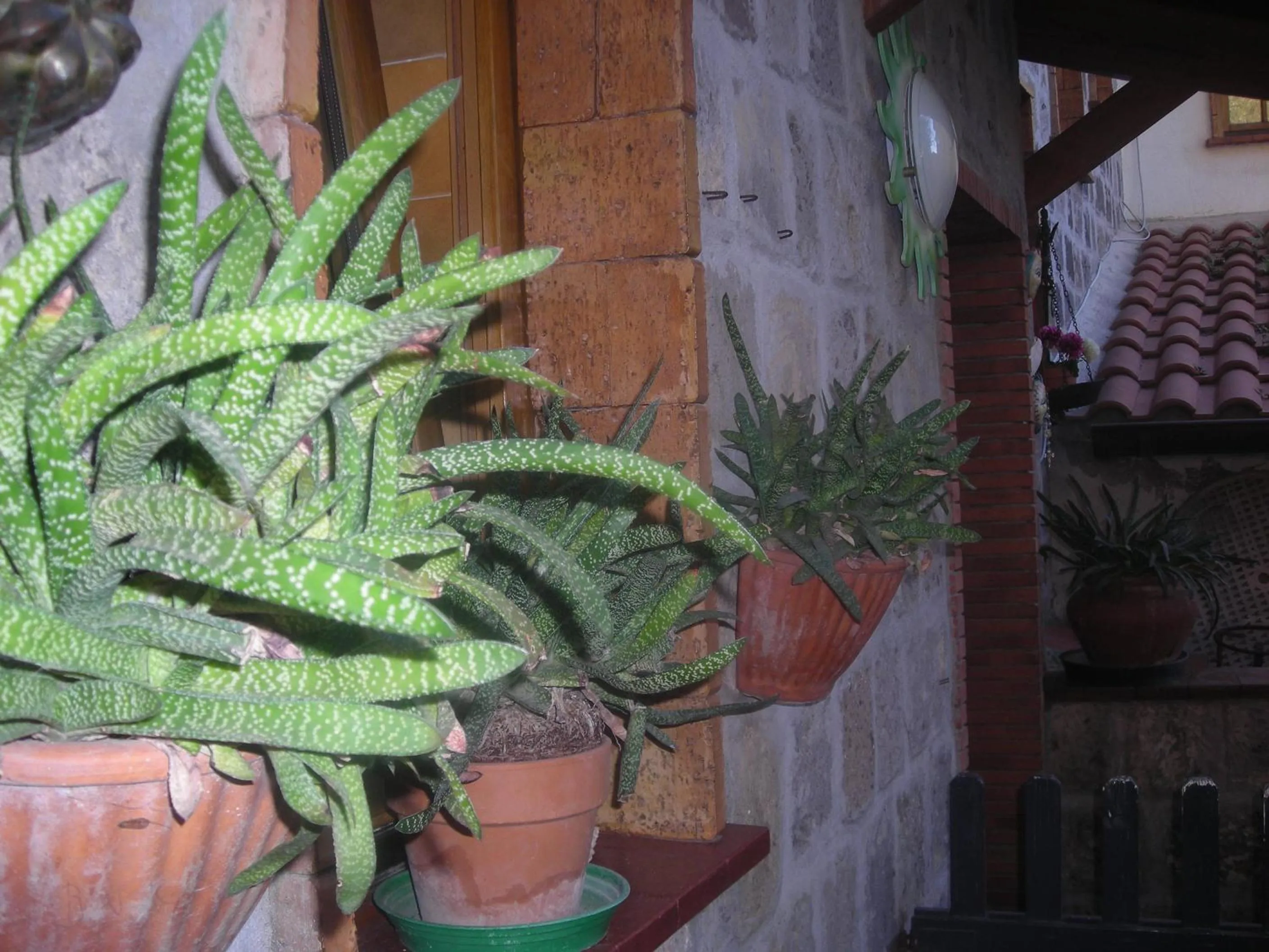 Garden in B&B L'Arcobaleno