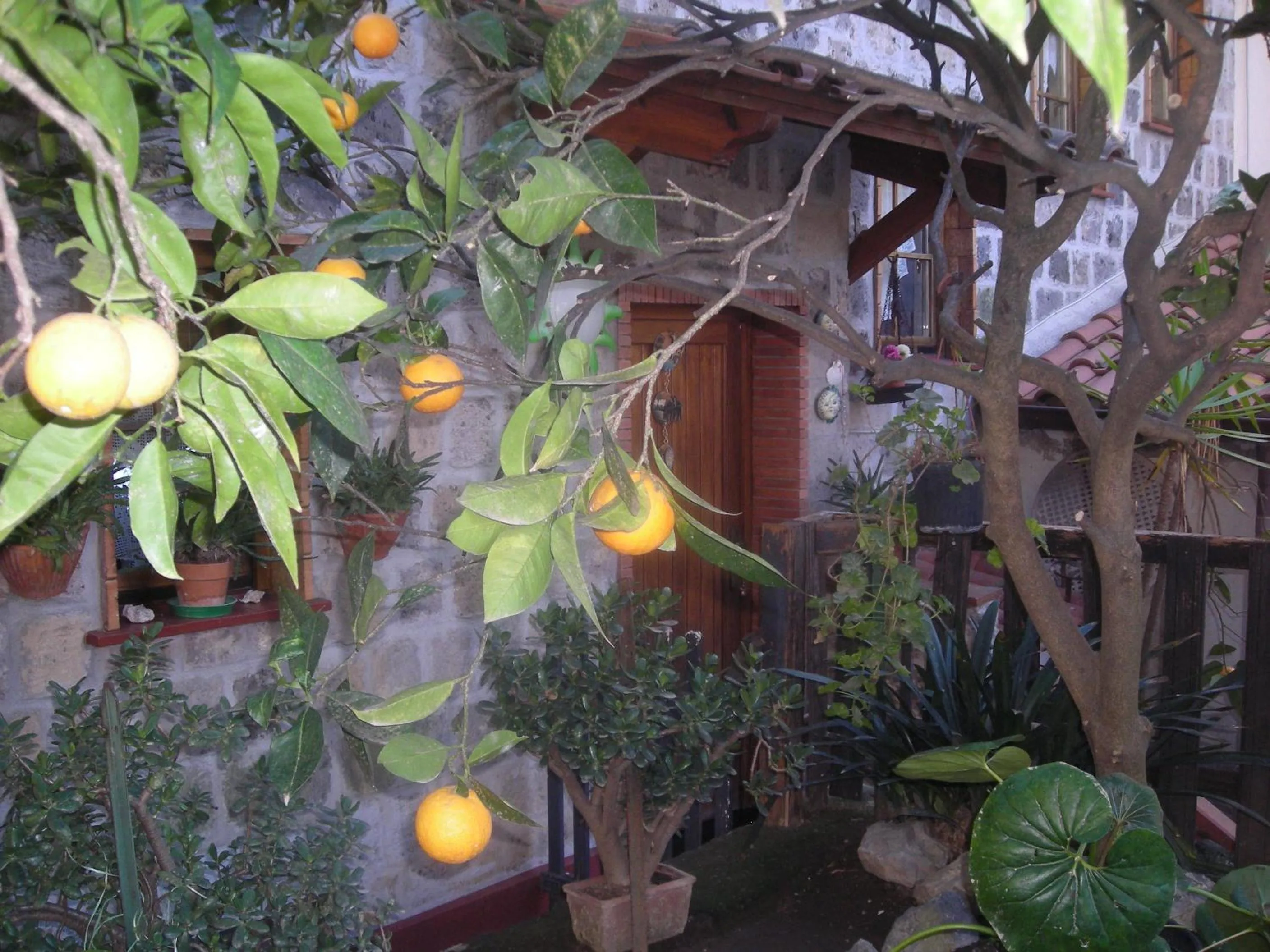 Garden in B&B L'Arcobaleno