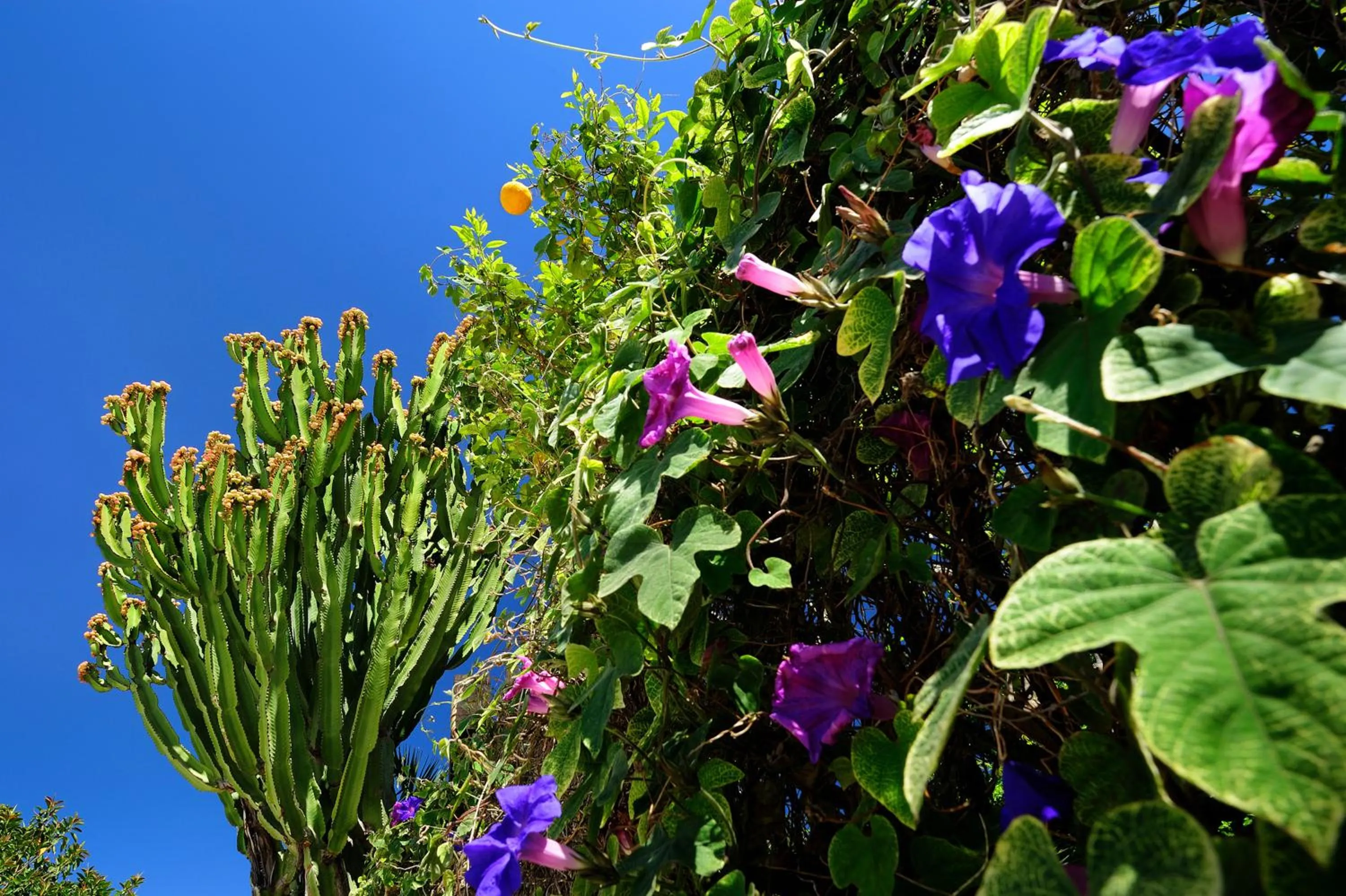 Spring in Kallikoros Country Resort & Spa