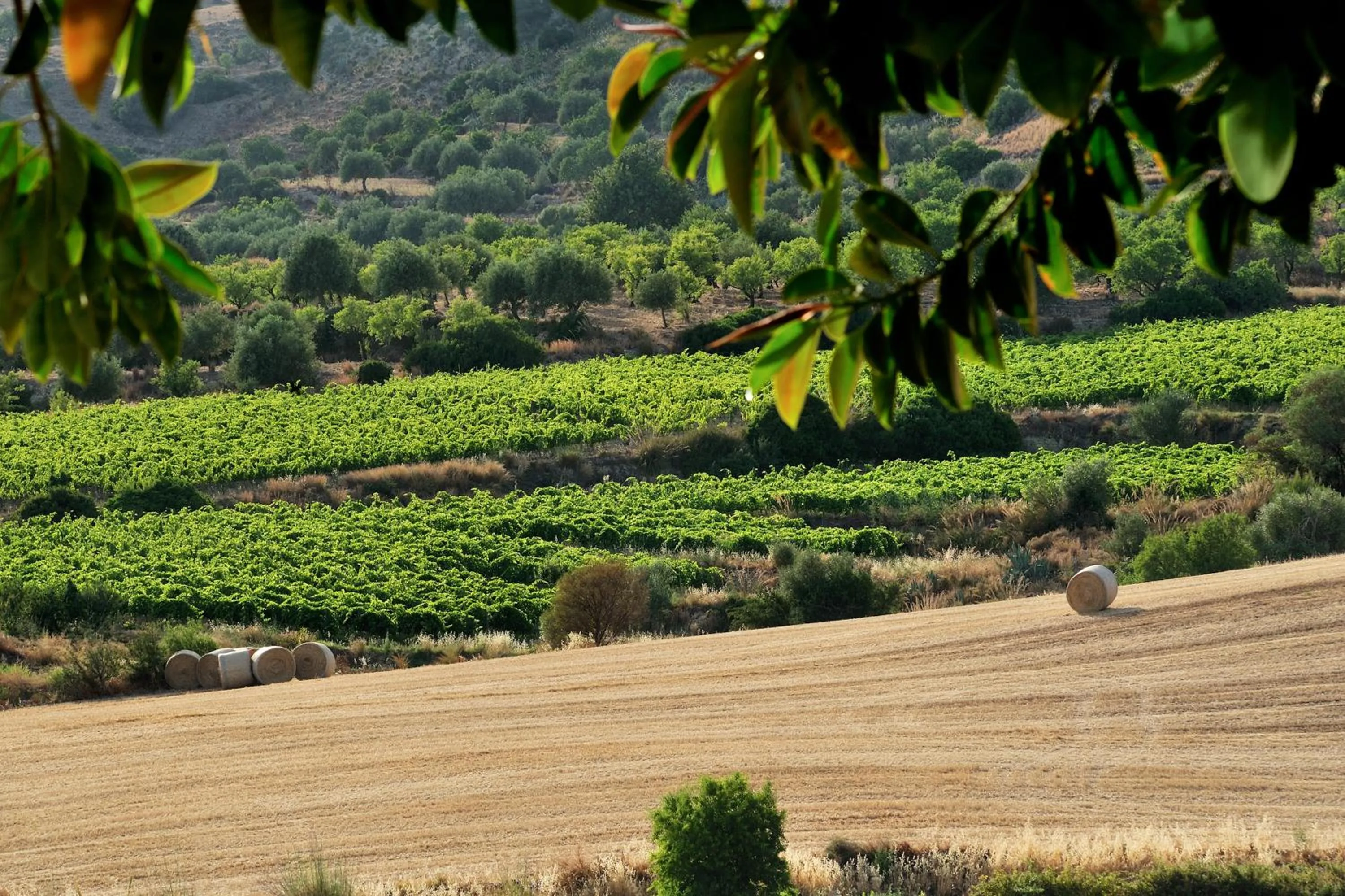 Spring in Kallikoros Country Resort & Spa