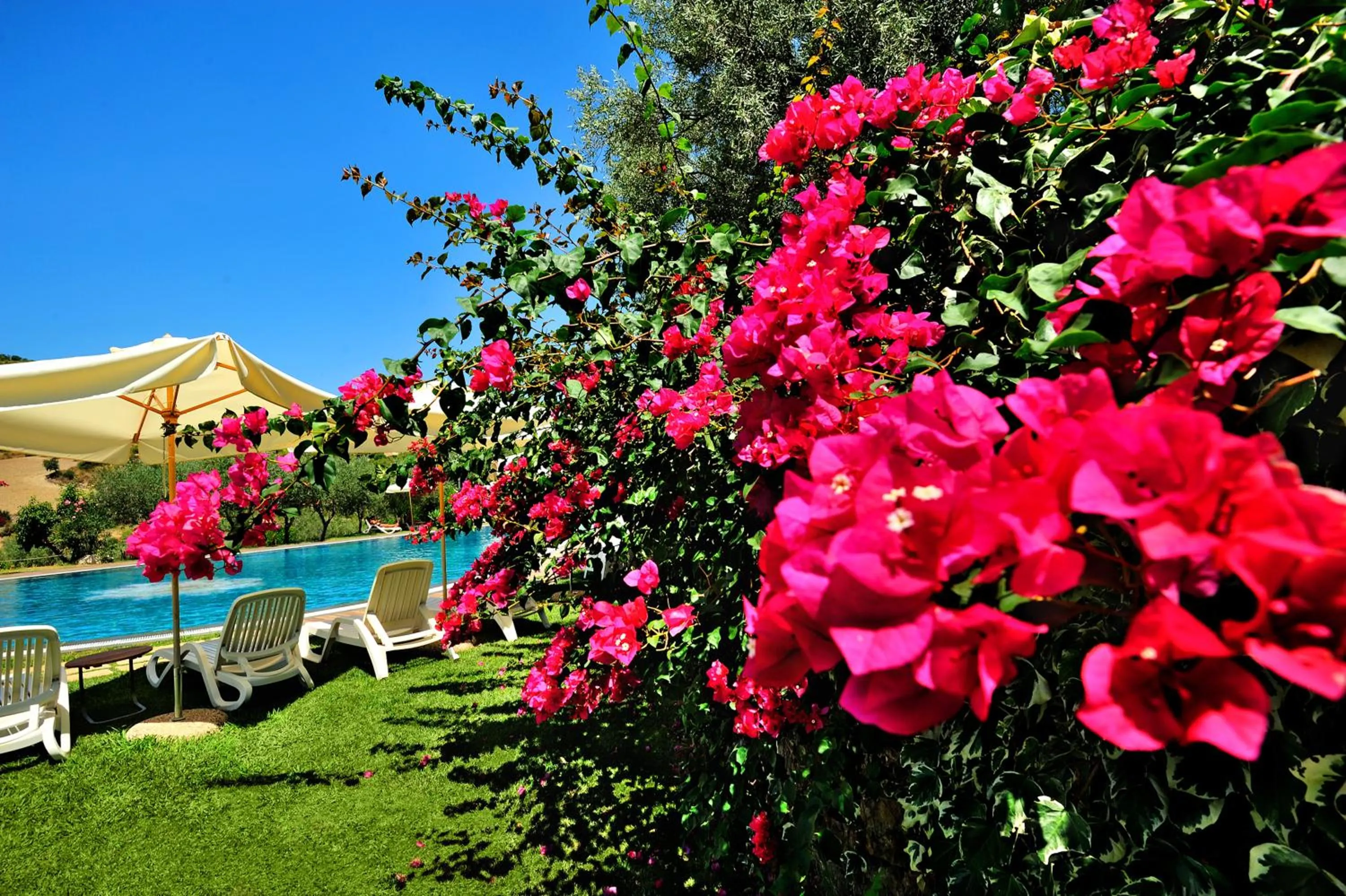 Spring in Kallikoros Country Resort & Spa