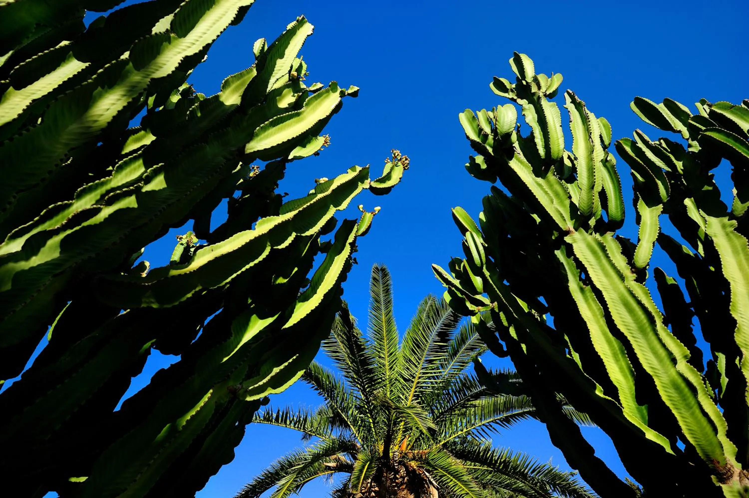 Spring in Kallikoros Country Resort & Spa