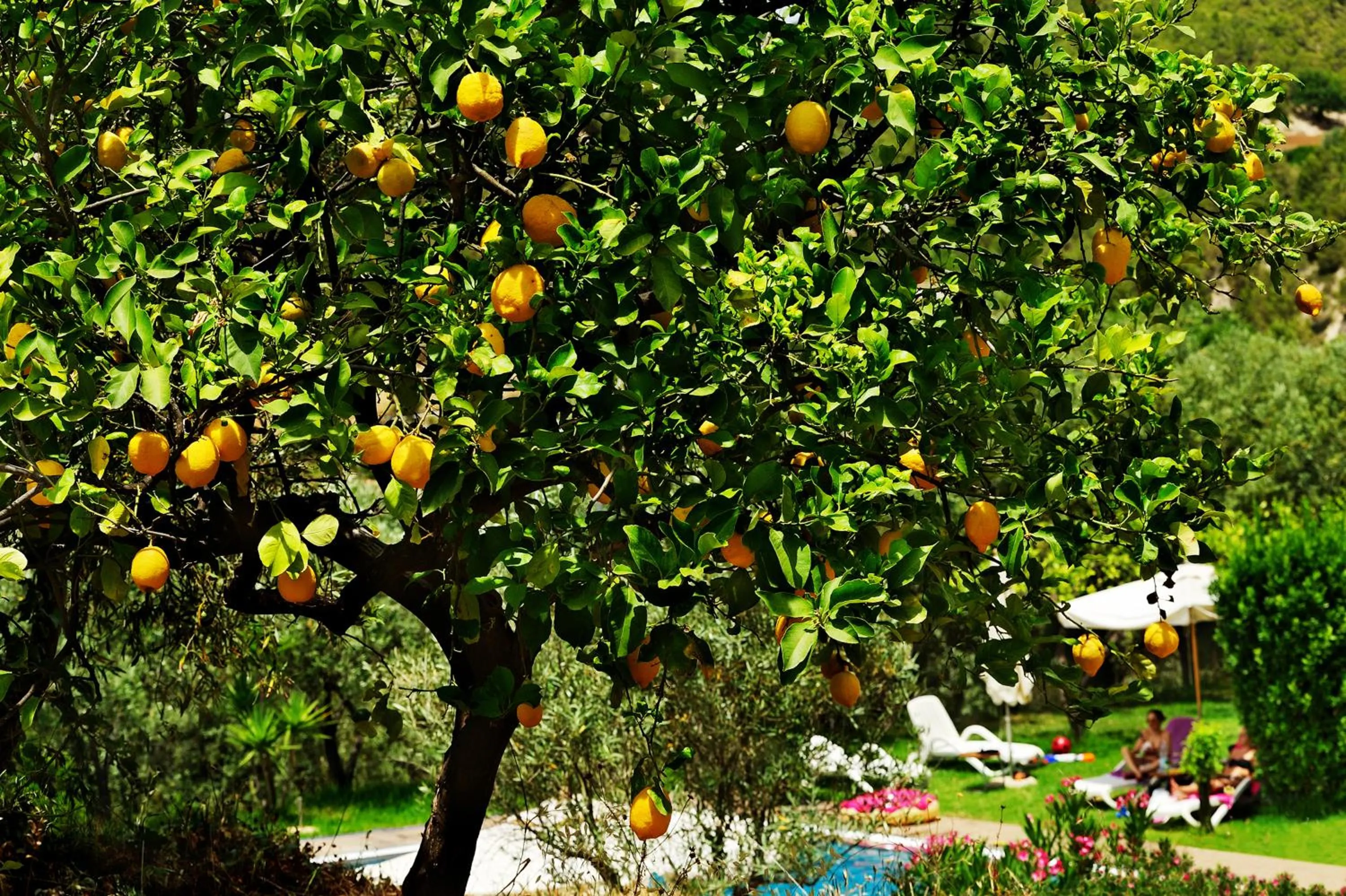 Spring in Kallikoros Country Resort & Spa