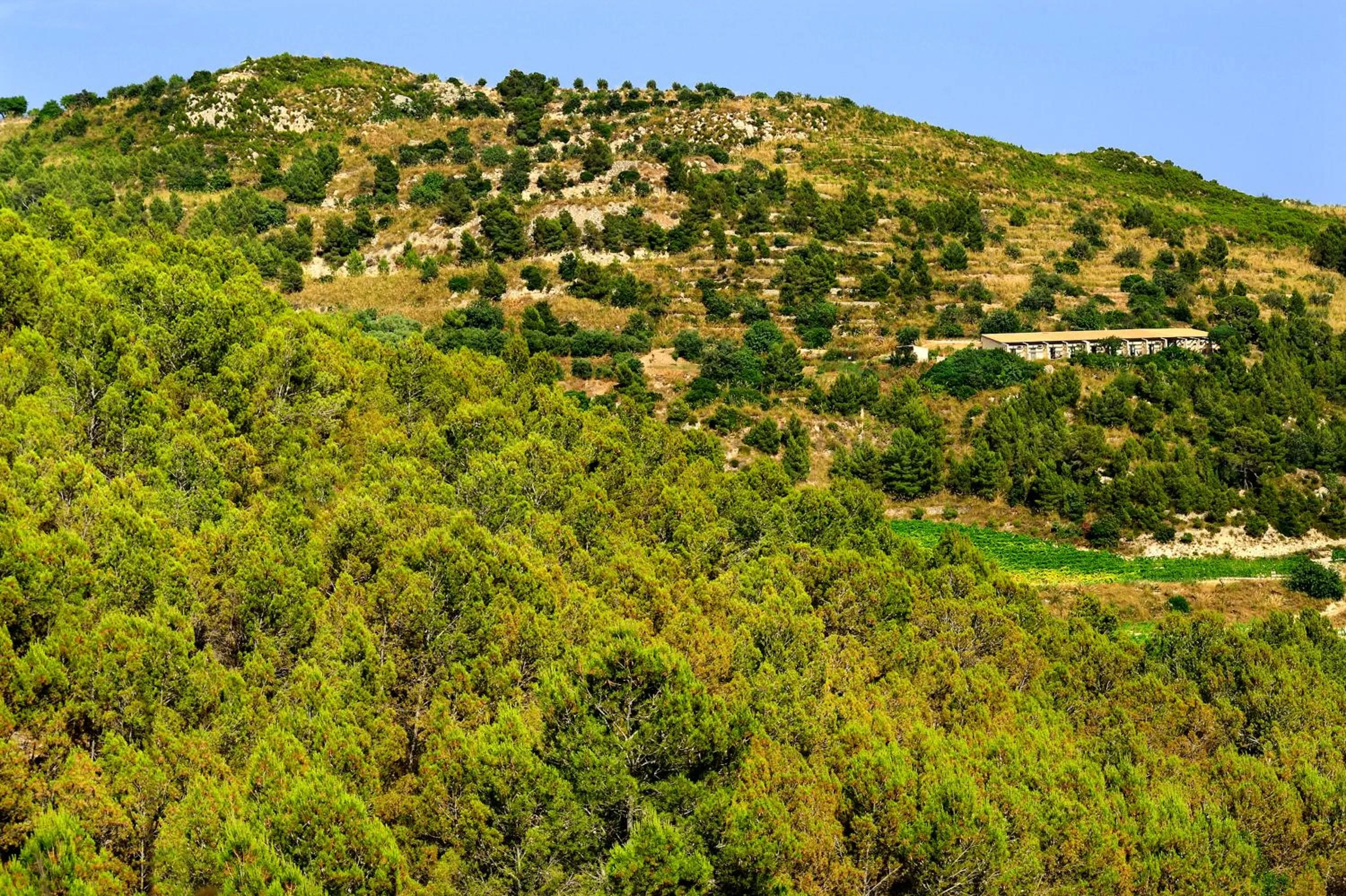 Nearby landmark in Kallikoros Country Resort & Spa