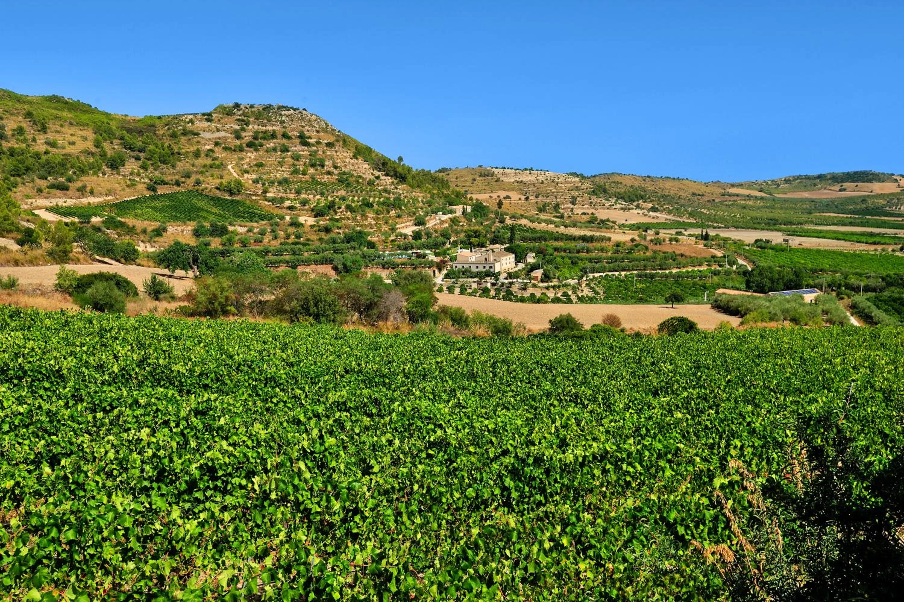 Nearby landmark in Kallikoros Country Resort & Spa