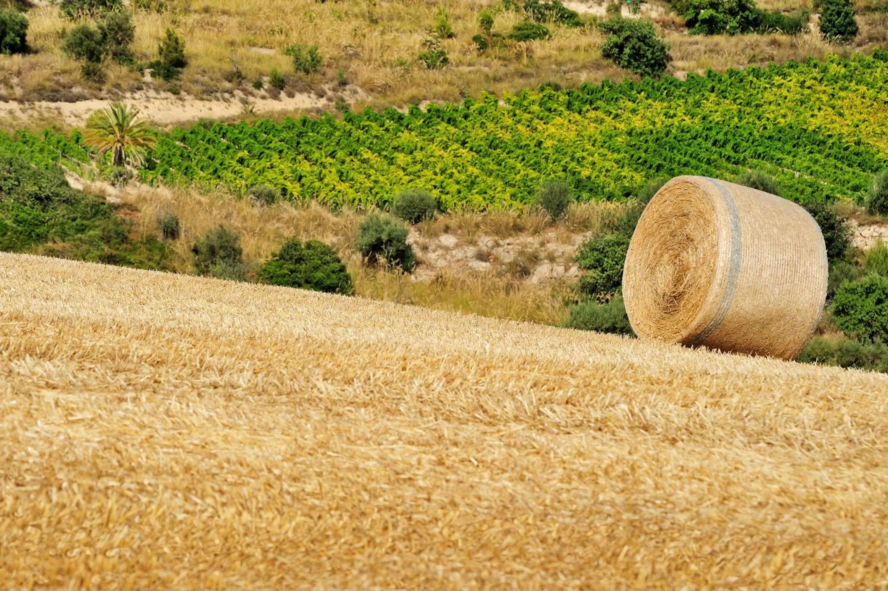 Spring in Kallikoros Country Resort & Spa