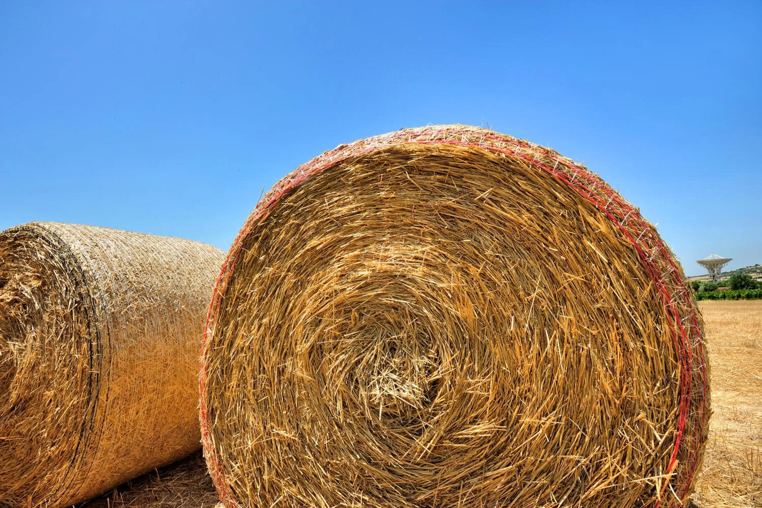 Day in Kallikoros Country Resort & Spa