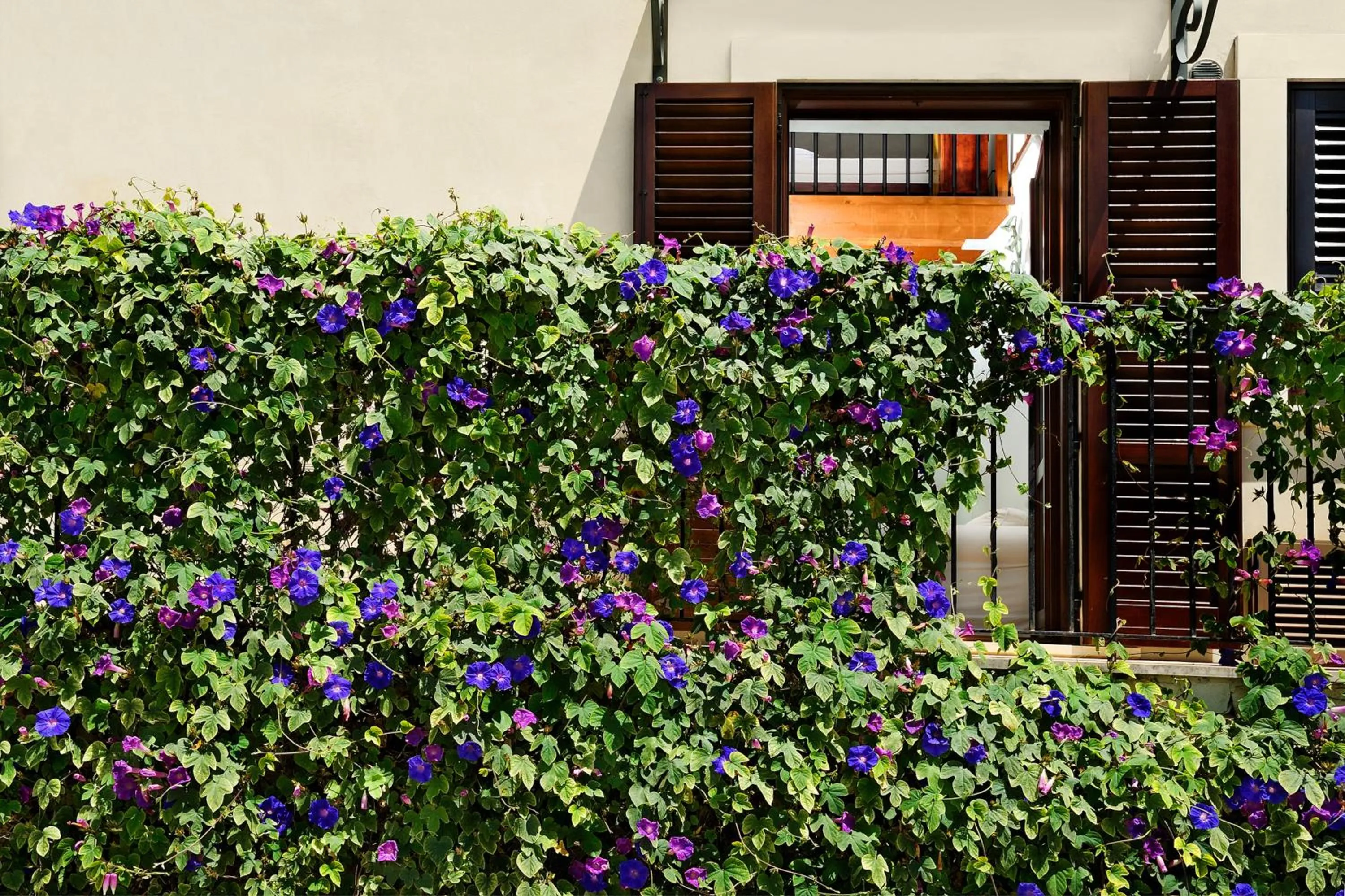 Property building in Kallikoros Country Resort & Spa