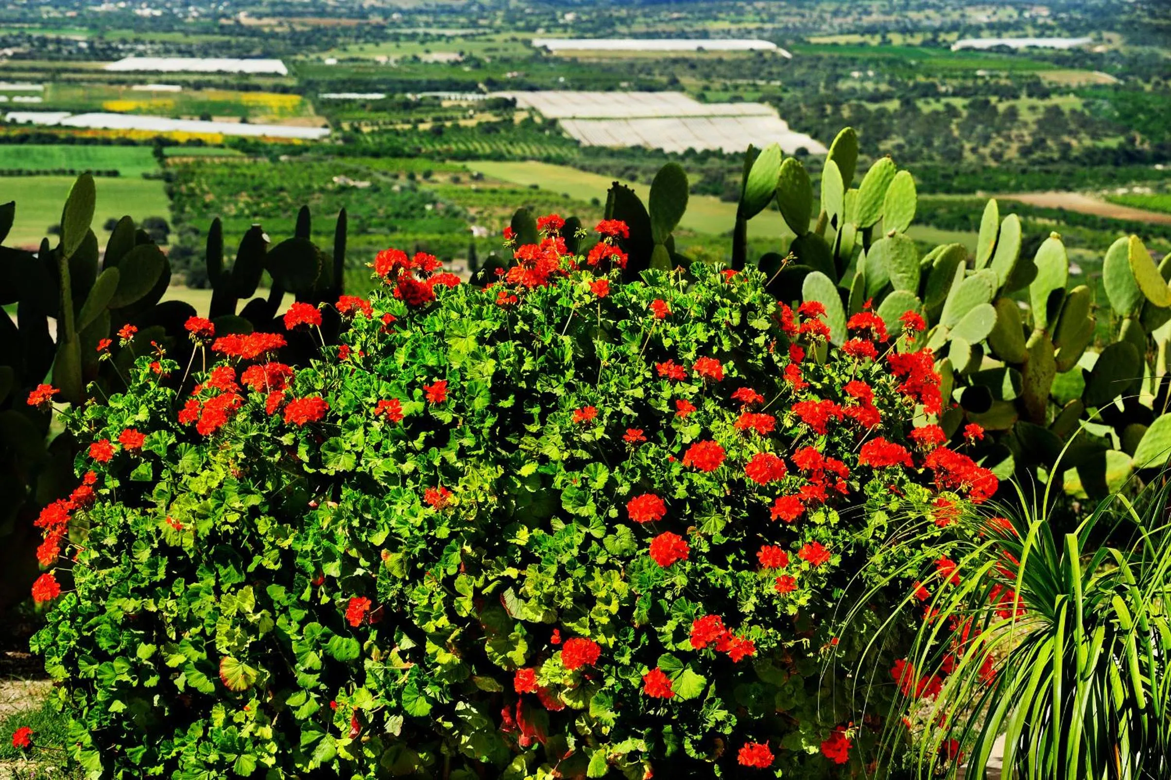 Spring in Kallikoros Country Resort & Spa