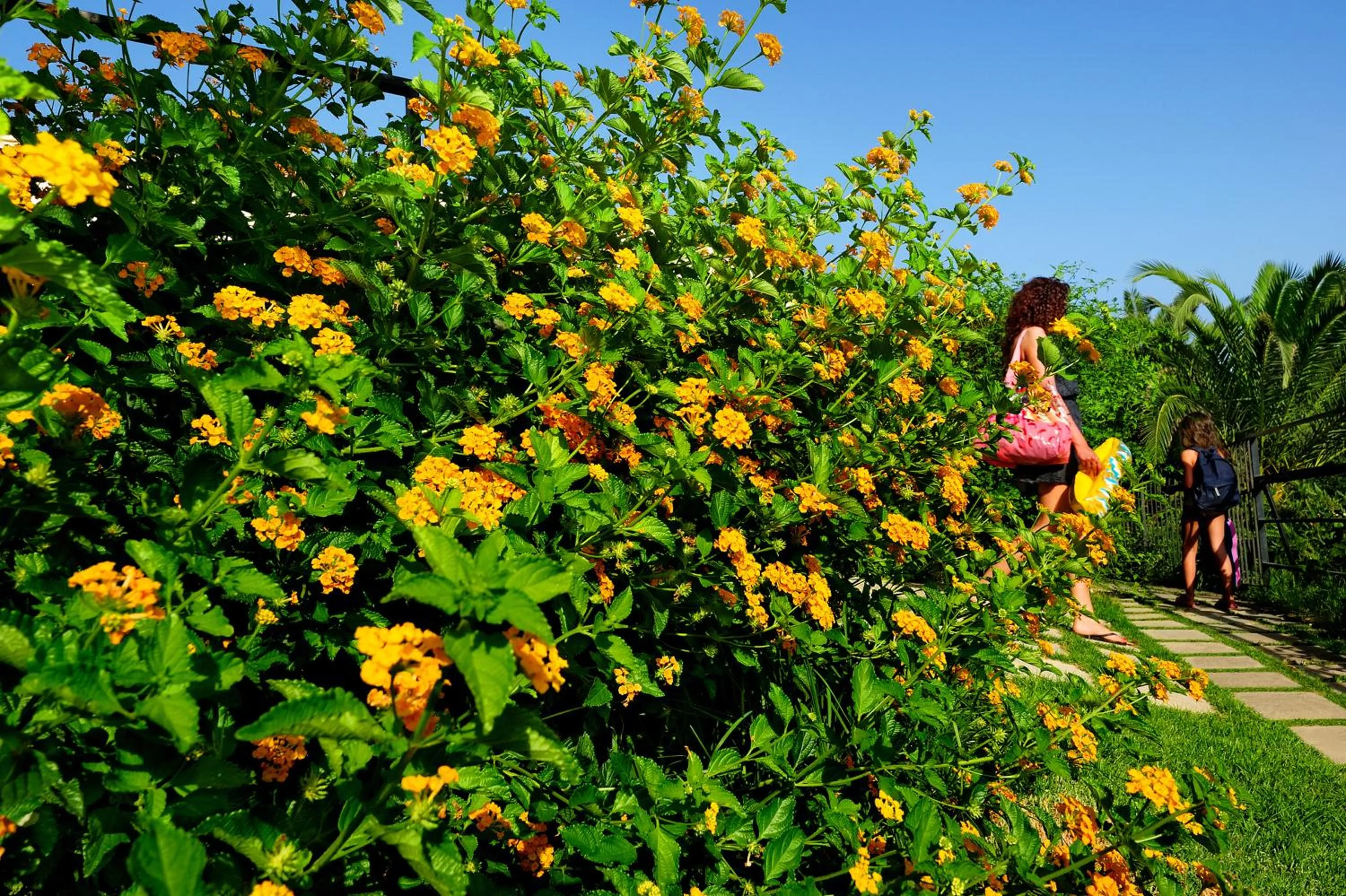 Spring in Kallikoros Country Resort & Spa