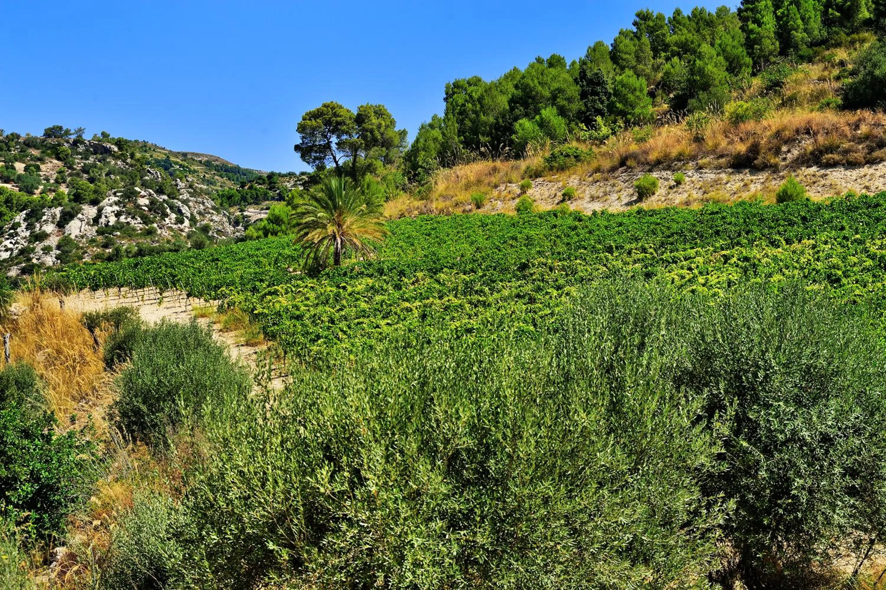 Spring in Kallikoros Country Resort & Spa