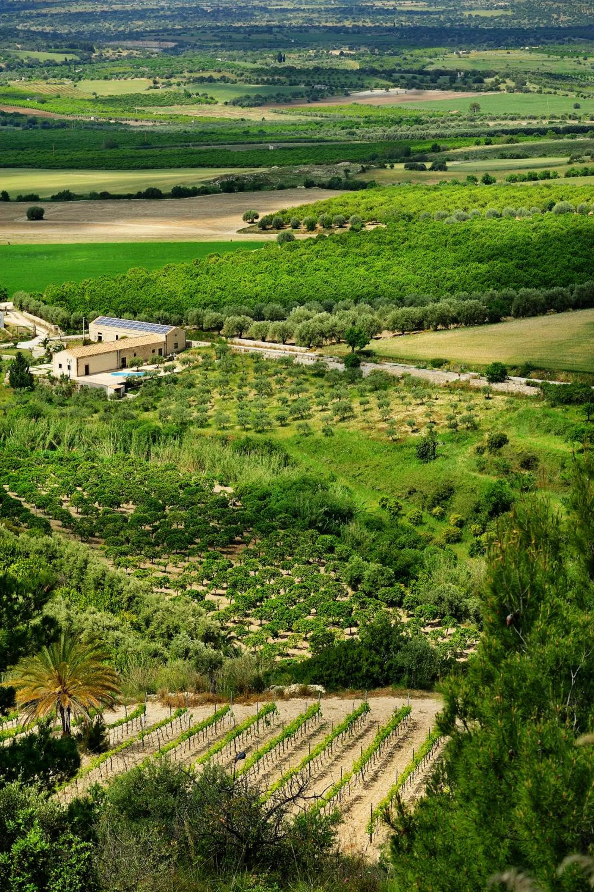 Nearby landmark in Kallikoros Country Resort & Spa