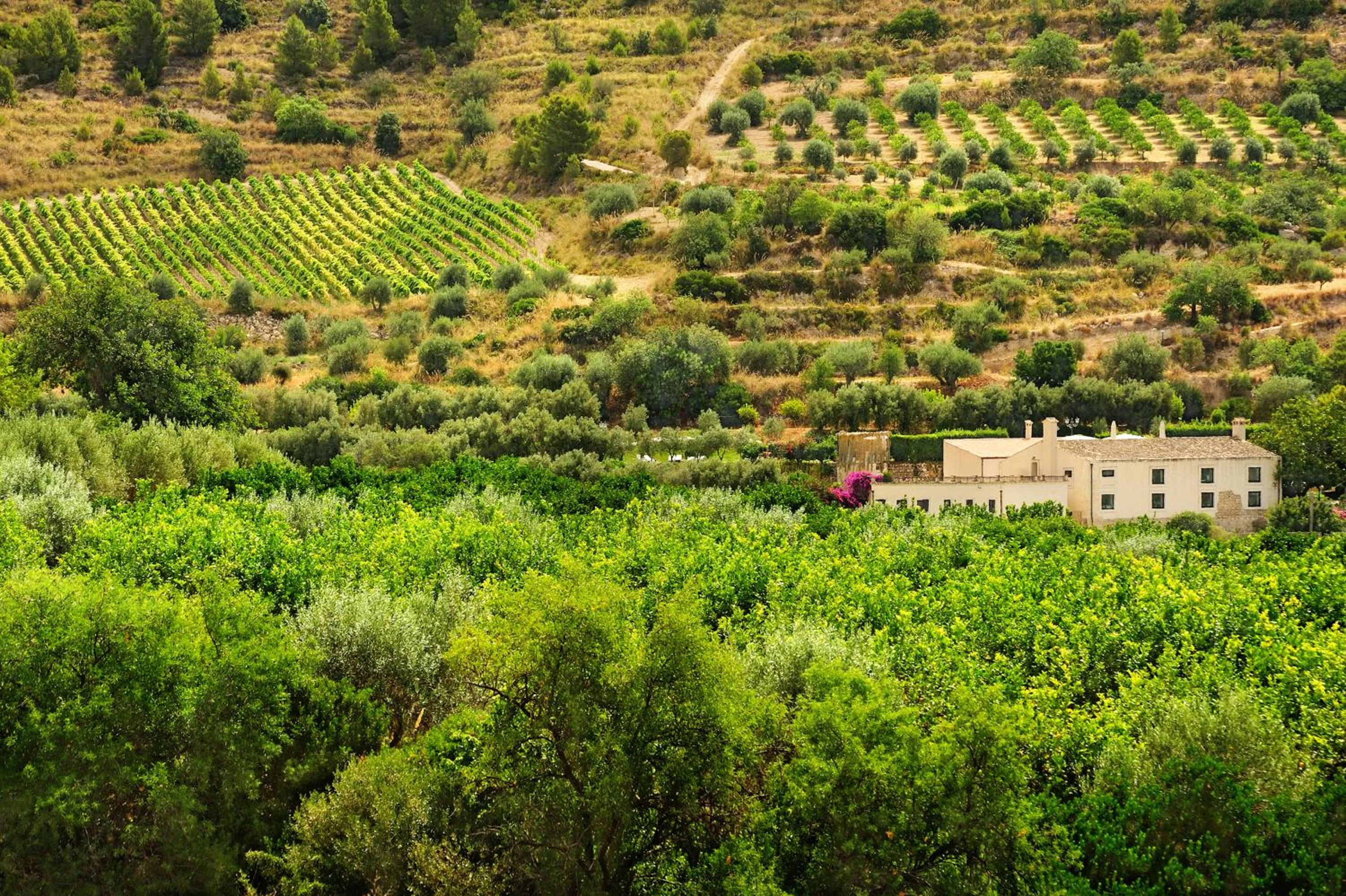 Property building in Kallikoros Country Resort & Spa