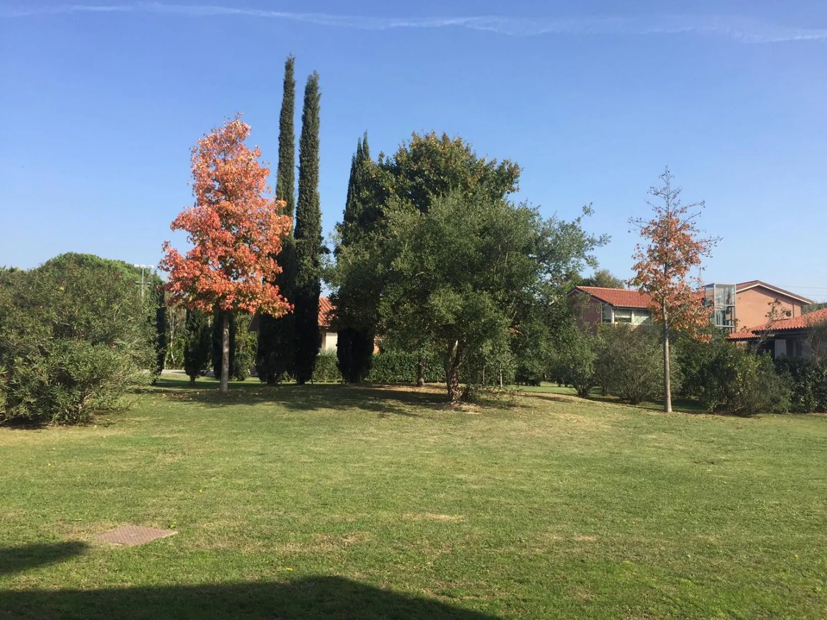 Lounge or bar in Residence San Rossore