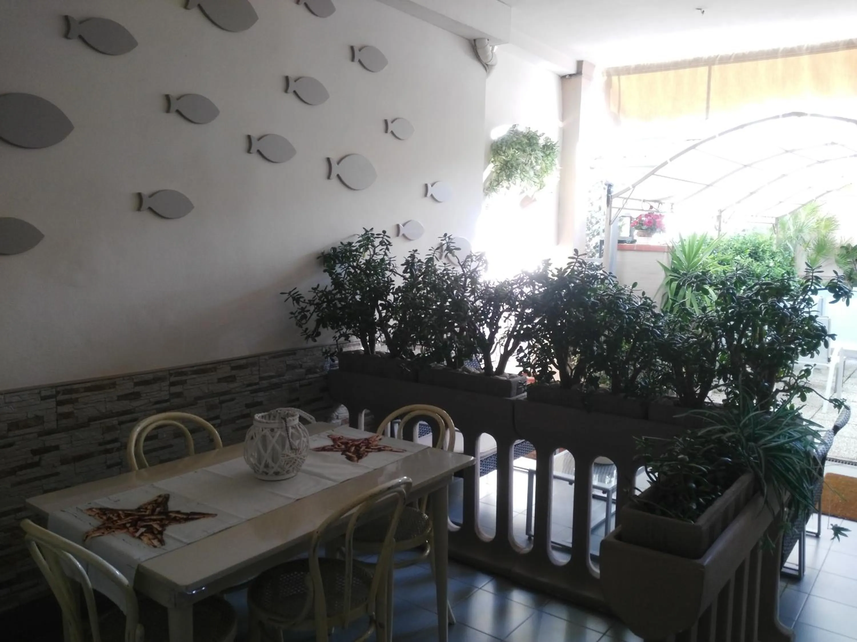 Garden view in Hotel Ondina