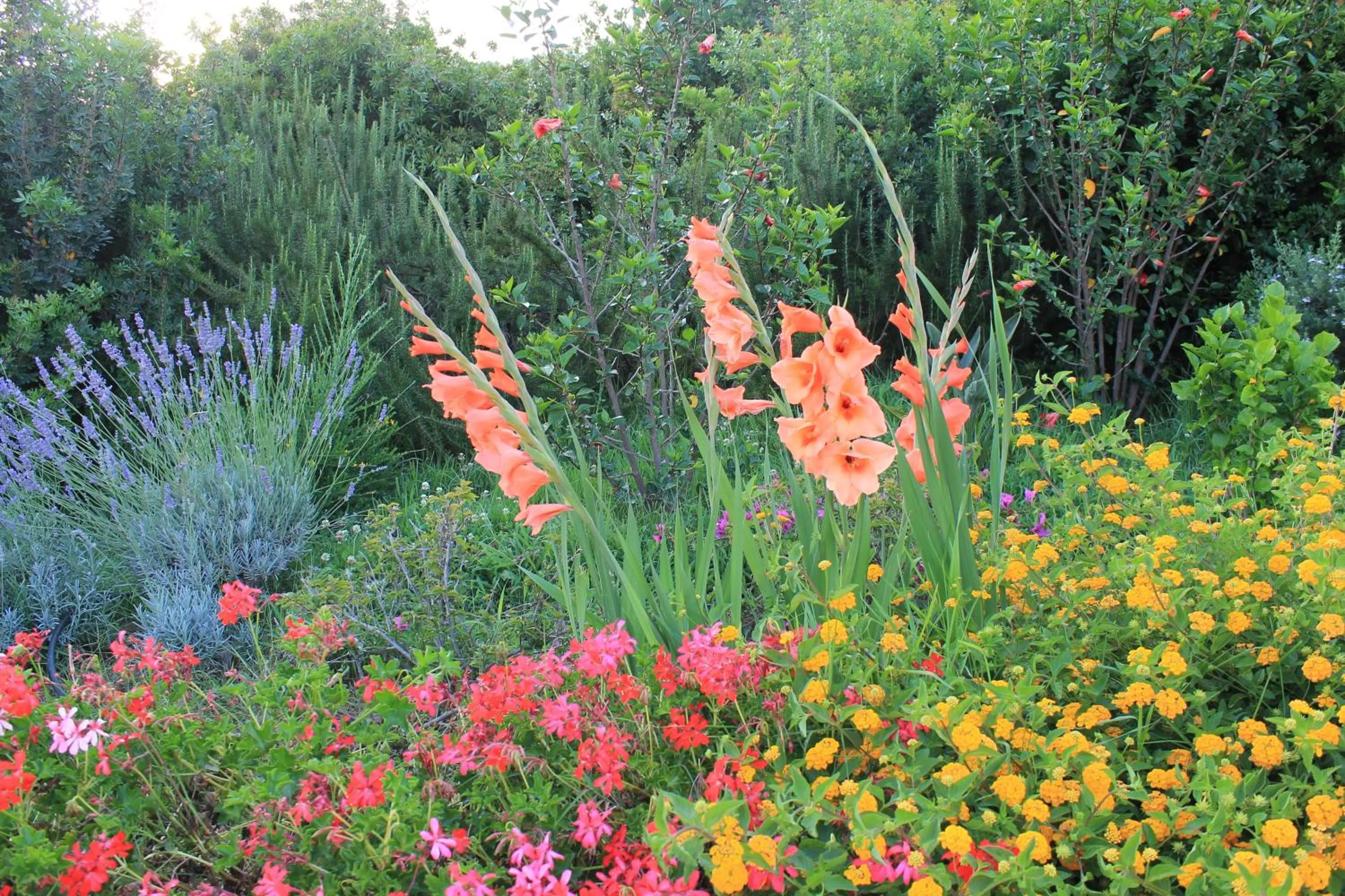 Garden in Maria Caderina Green Village