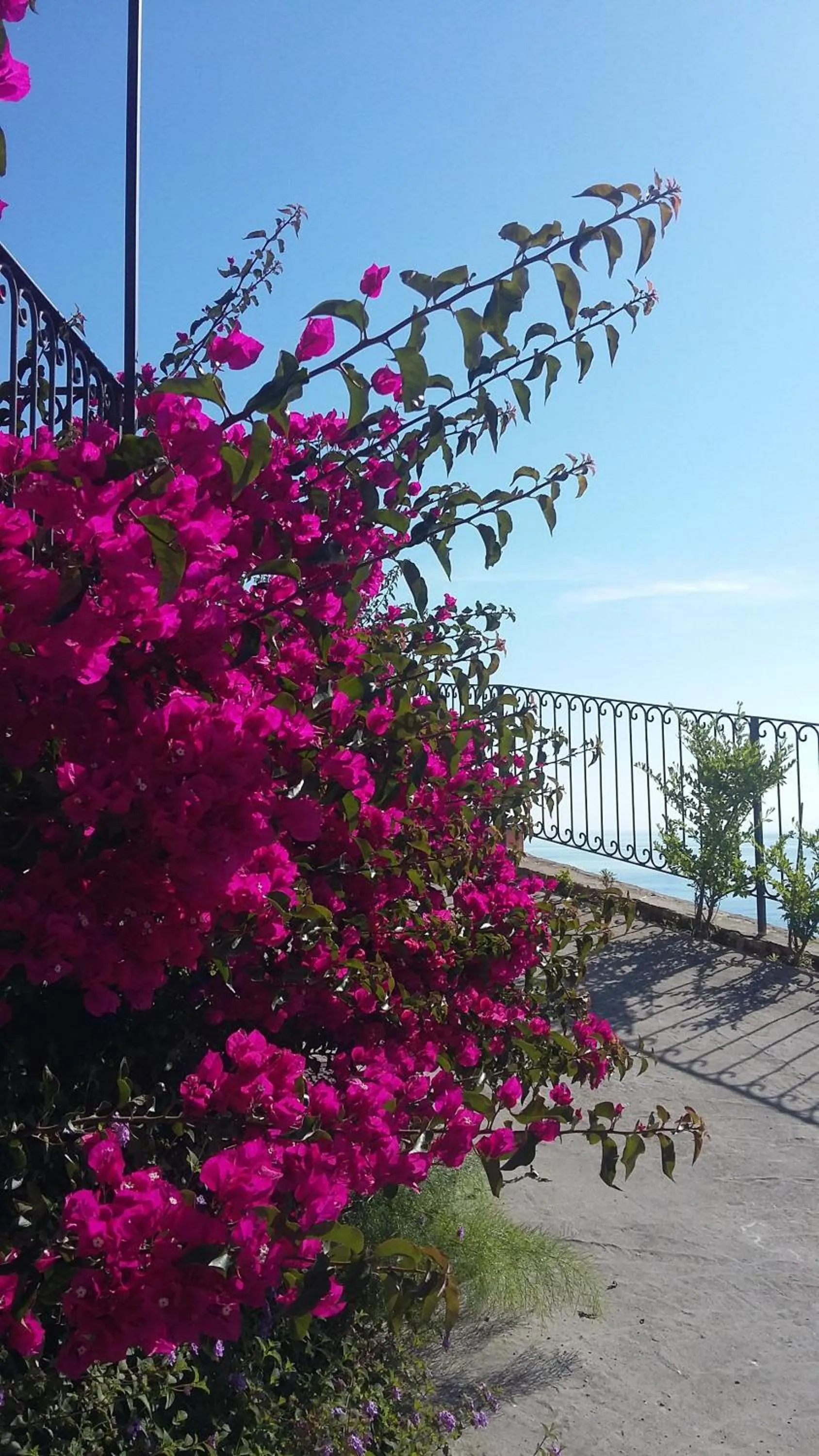 Day in Oltremare Residence Hotel