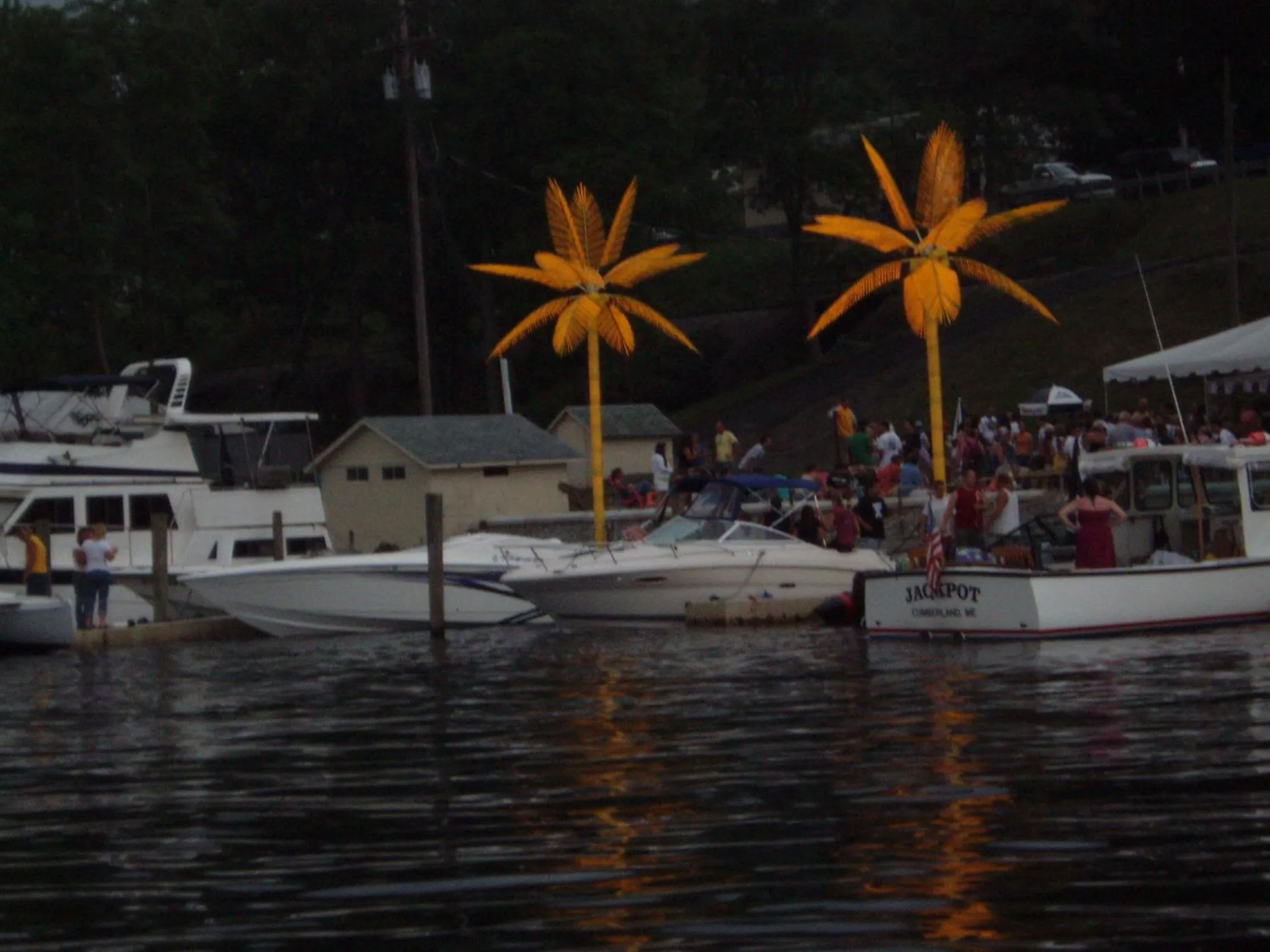 Nightclub / DJ in The Anchor Inn