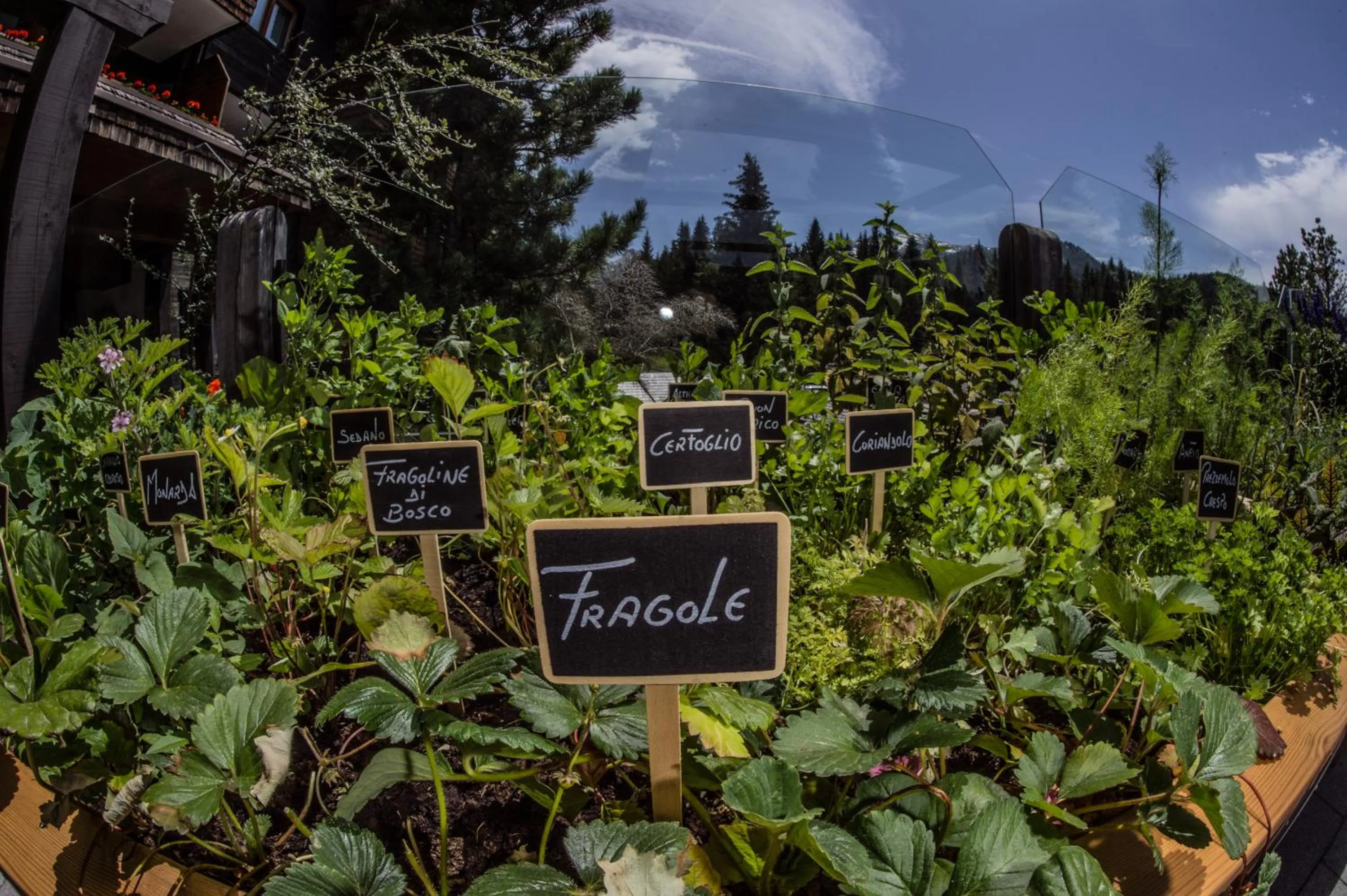 Garden in Hotel Ciasa Salares