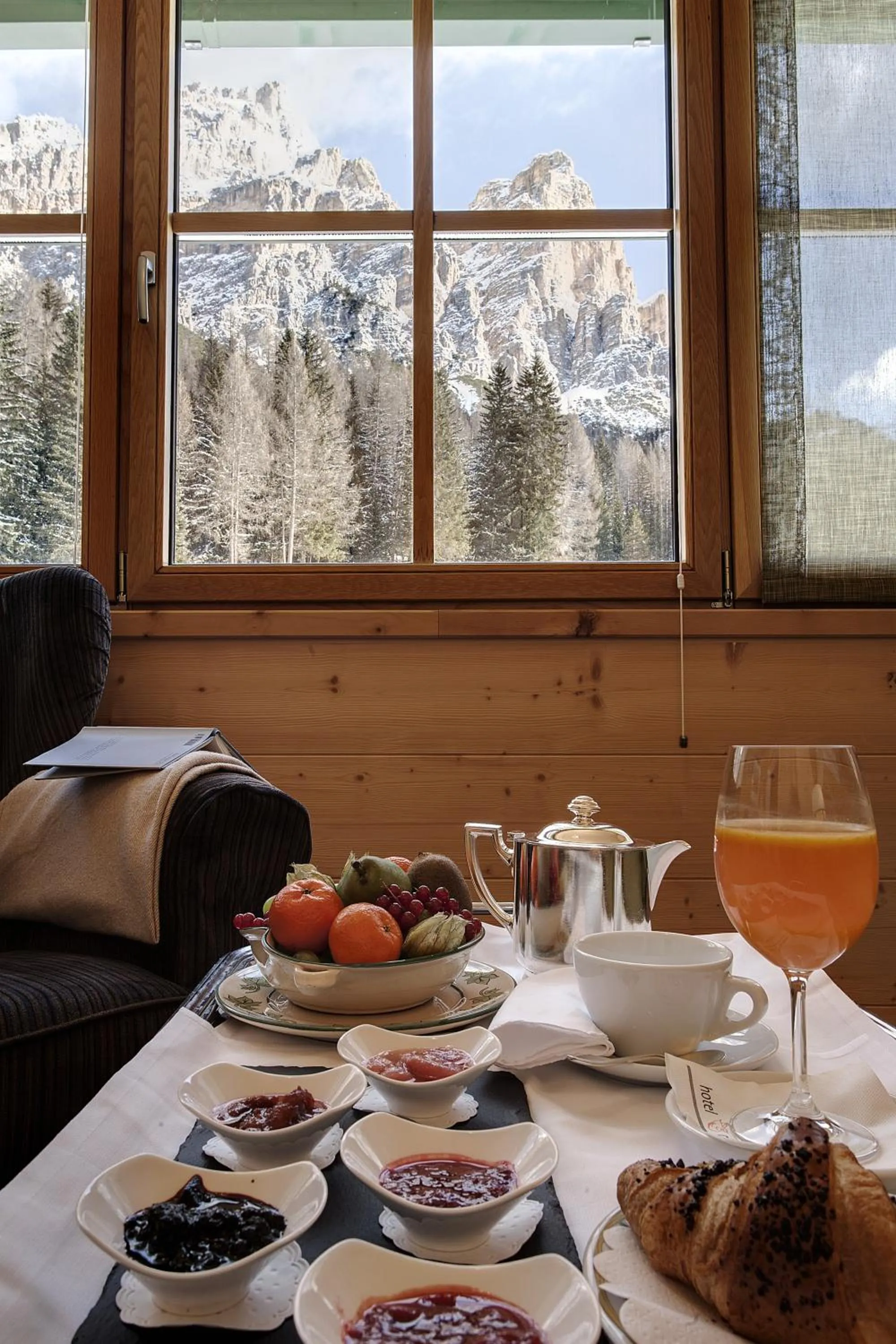 Mountain view in Hotel Ciasa Salares