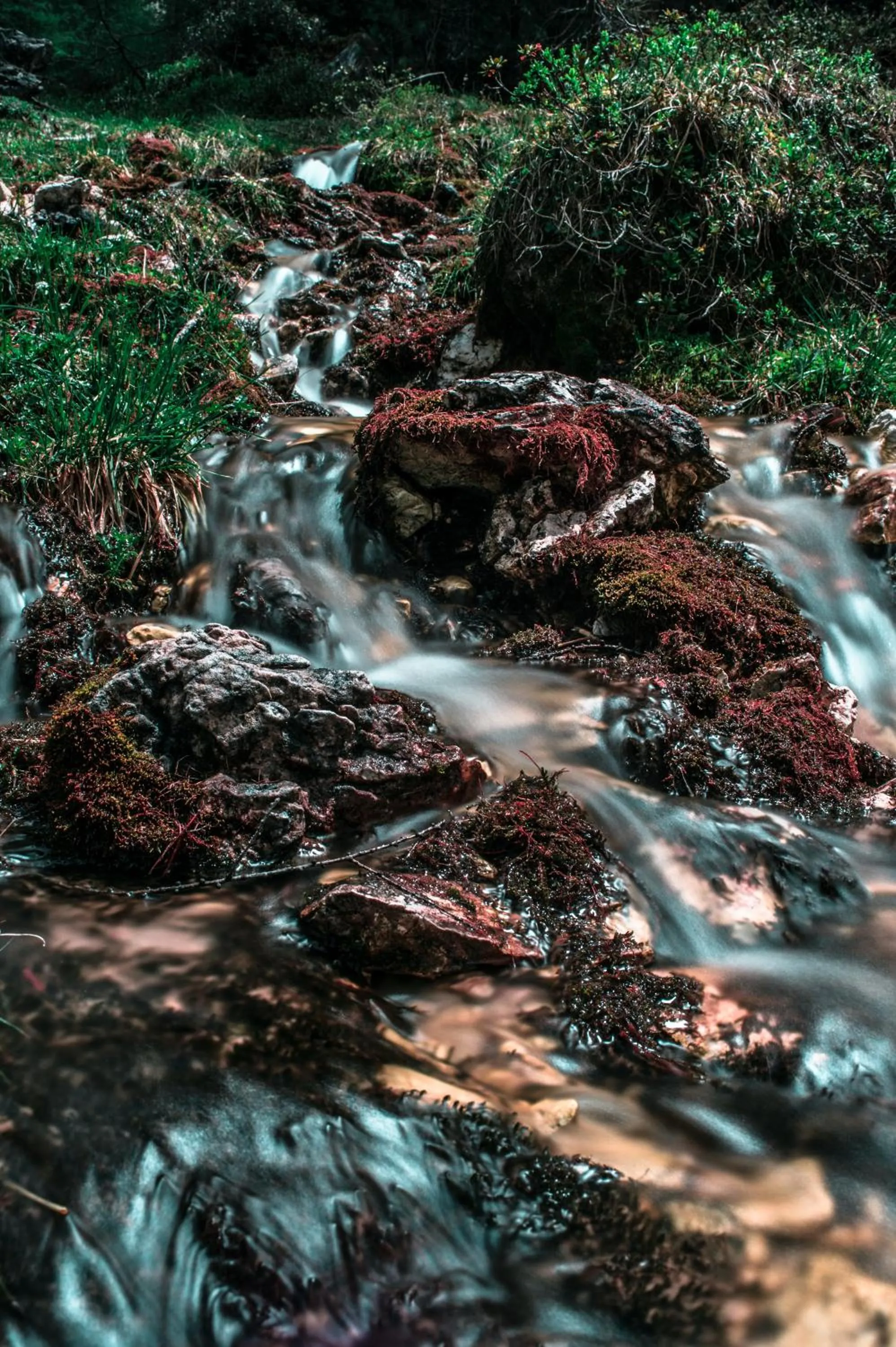 Natural landscape in Hotel Ciasa Salares