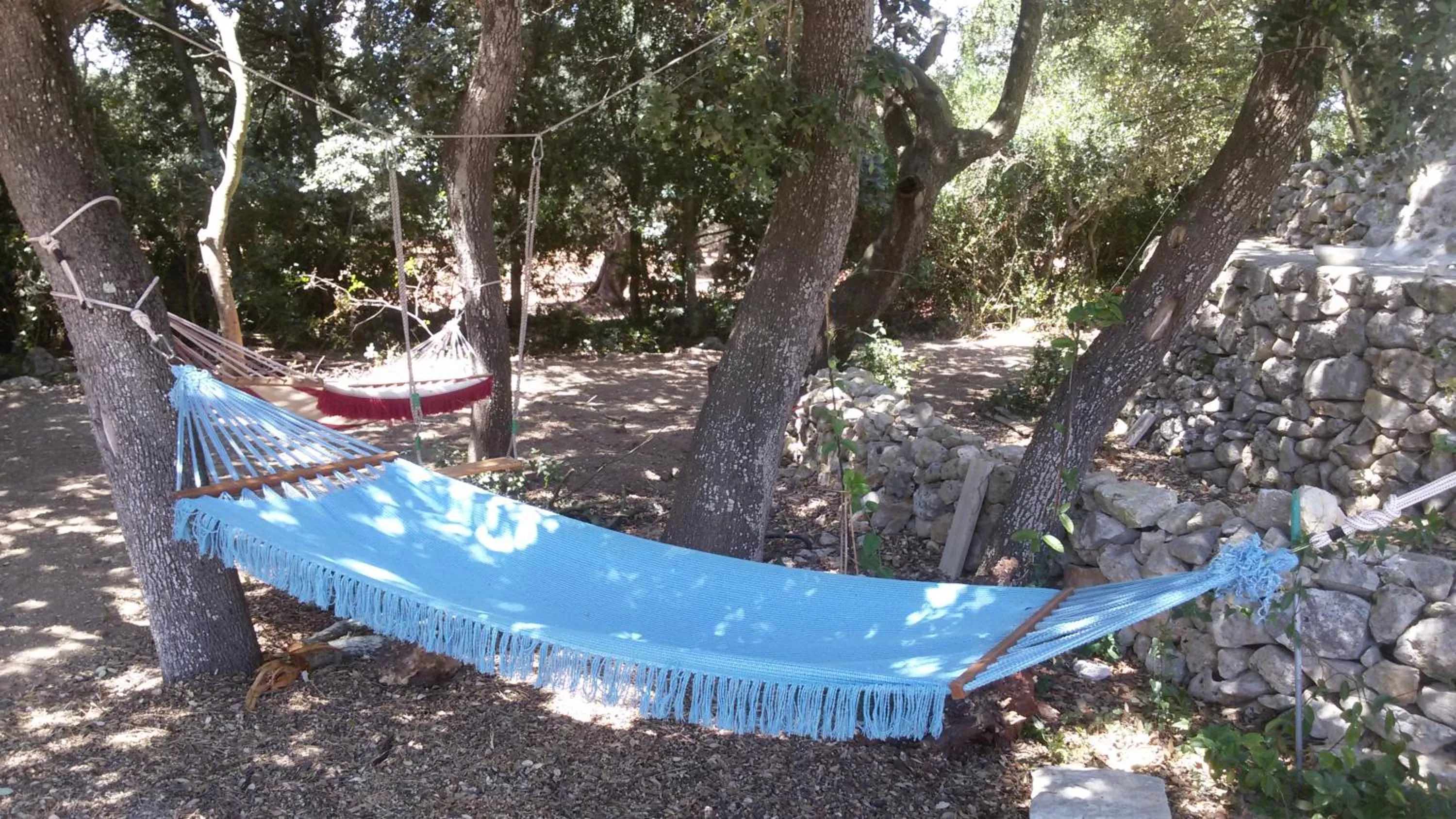 Activities in Trullo Alessandro e Villa Raffaela