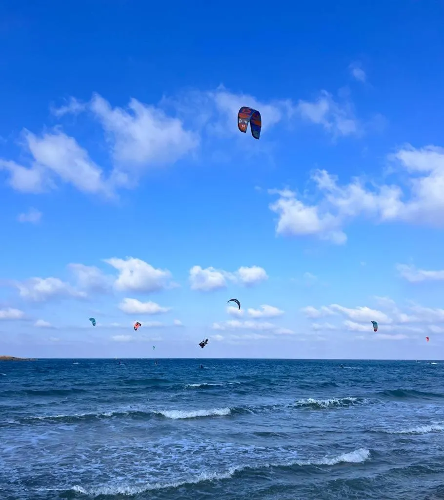 Activities in Trullo Alessandro e Villa Raffaela