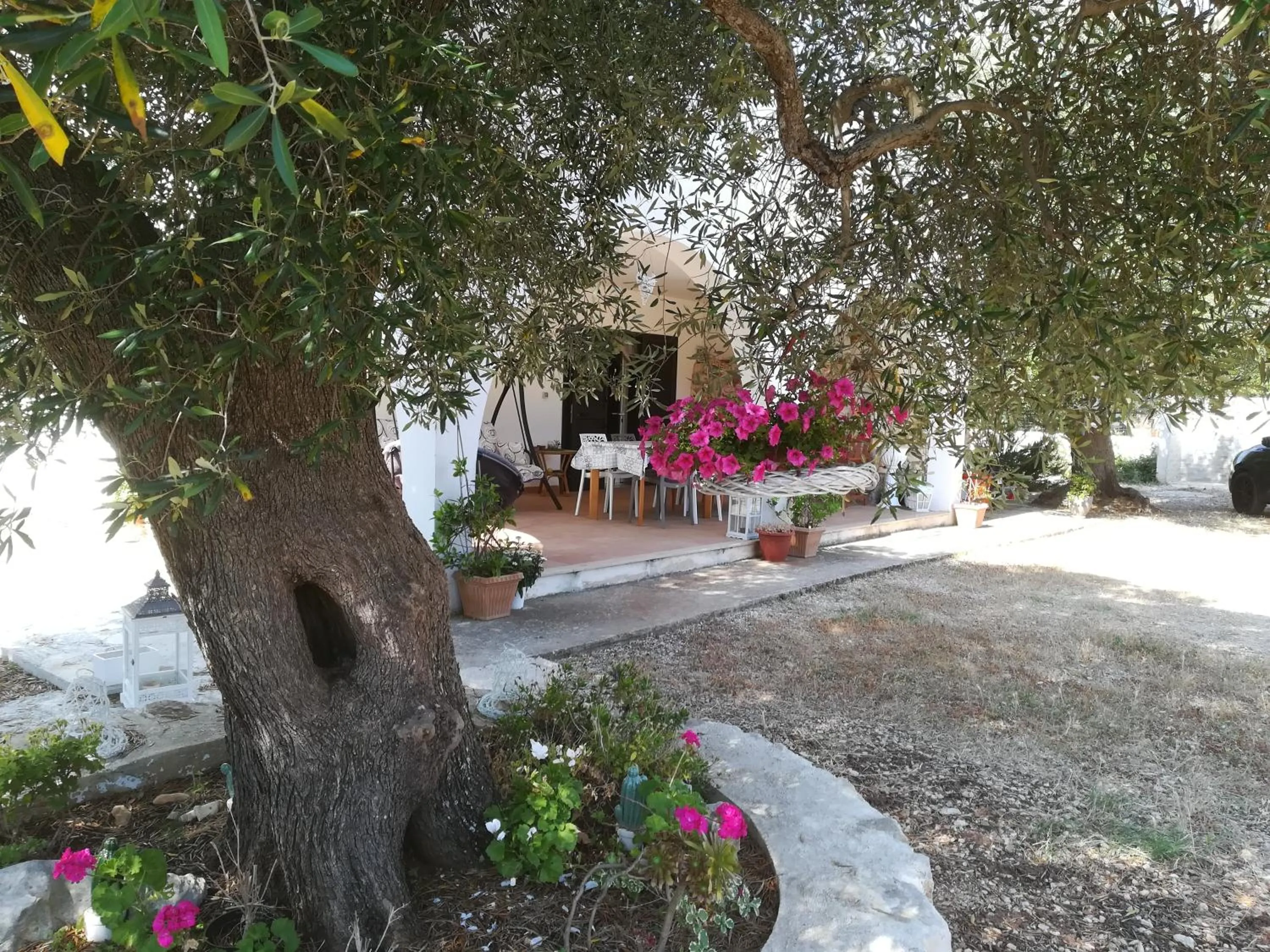Patio in Trullo Alessandro e Villa Raffaela