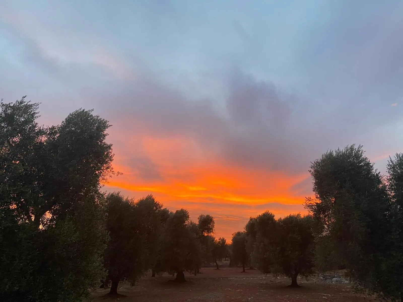 Sunset in Trullo Alessandro e Villa Raffaela
