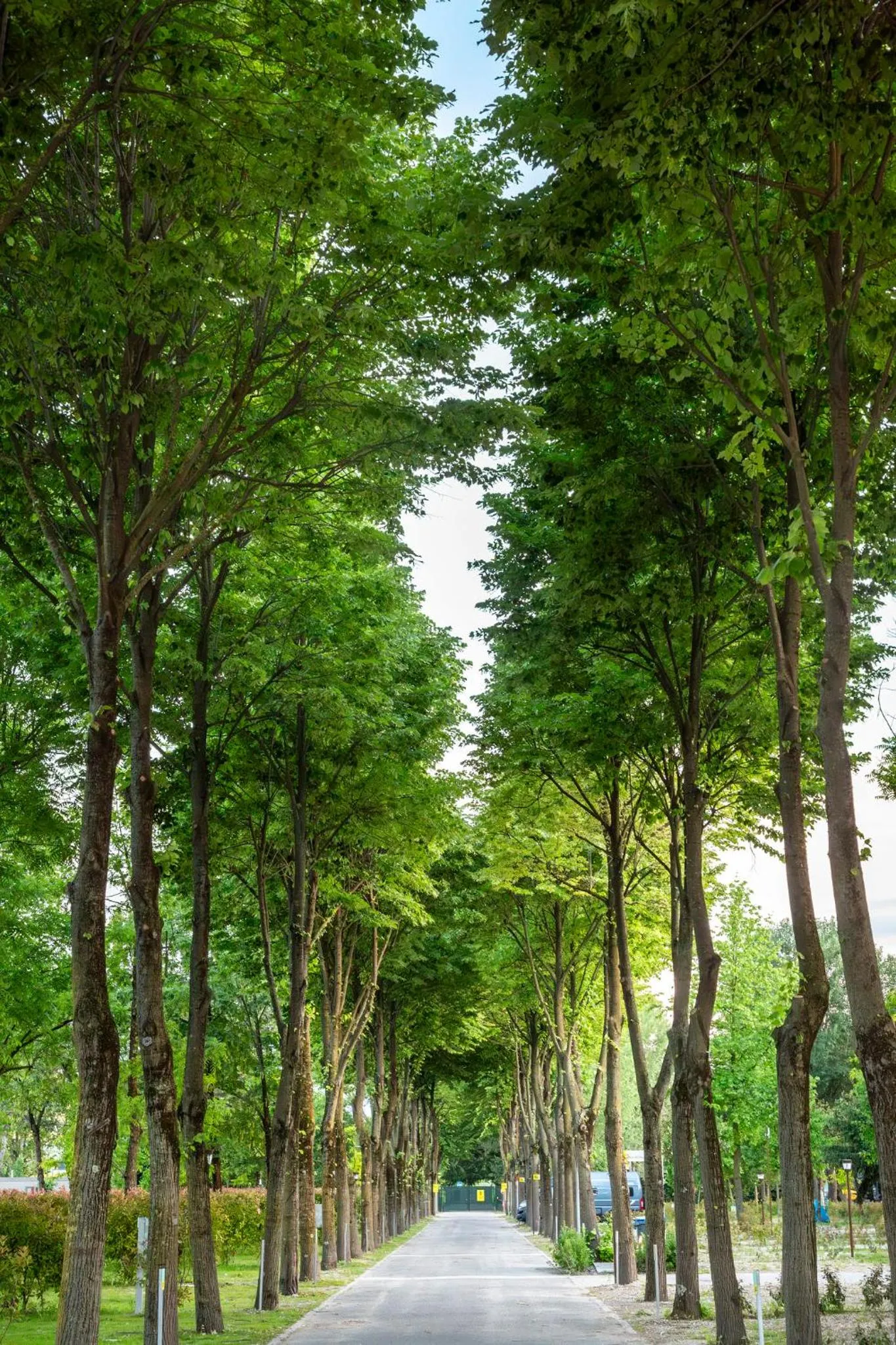 hu Venezia Camping in Town