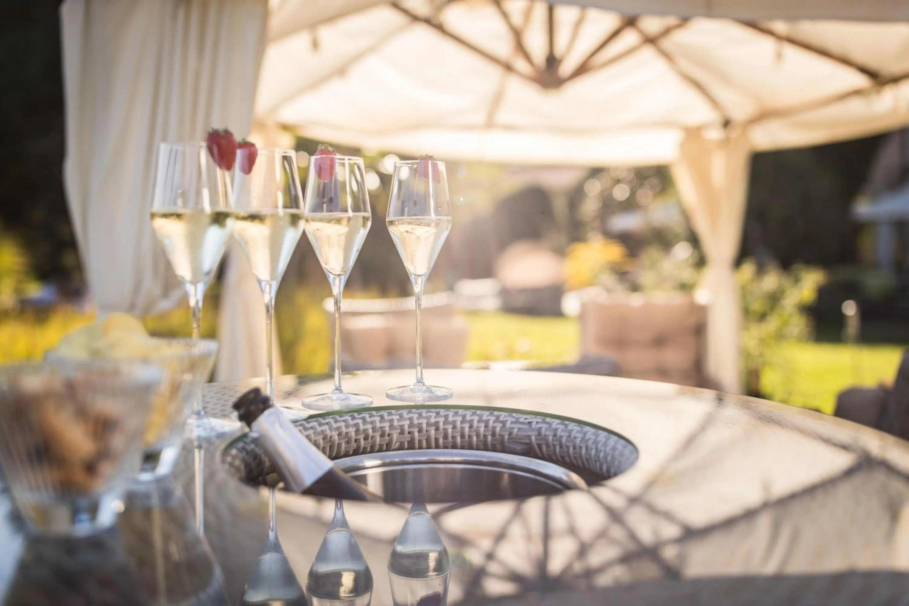 Garden in Hotel Weingarten