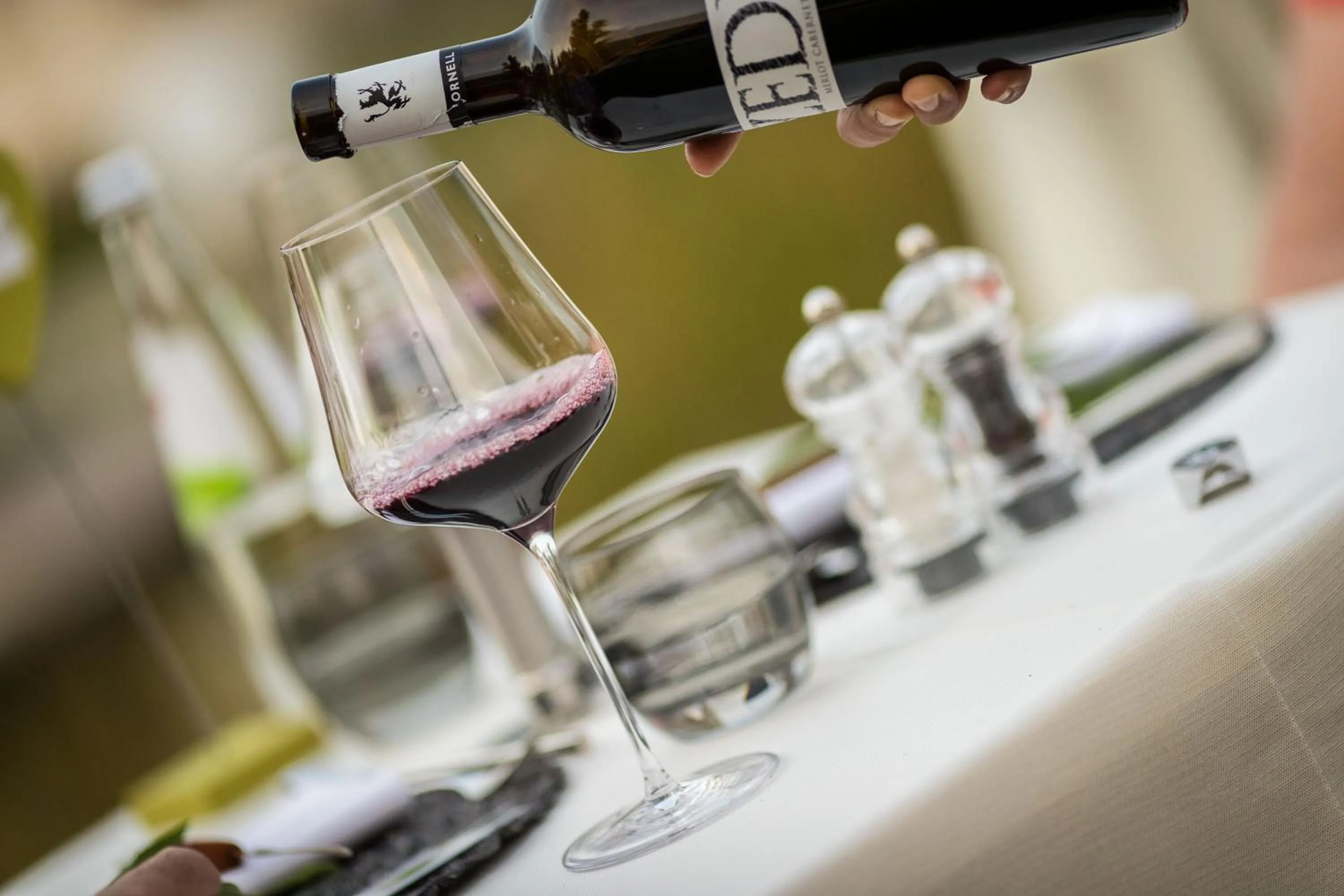 Dinner in Hotel Weingarten