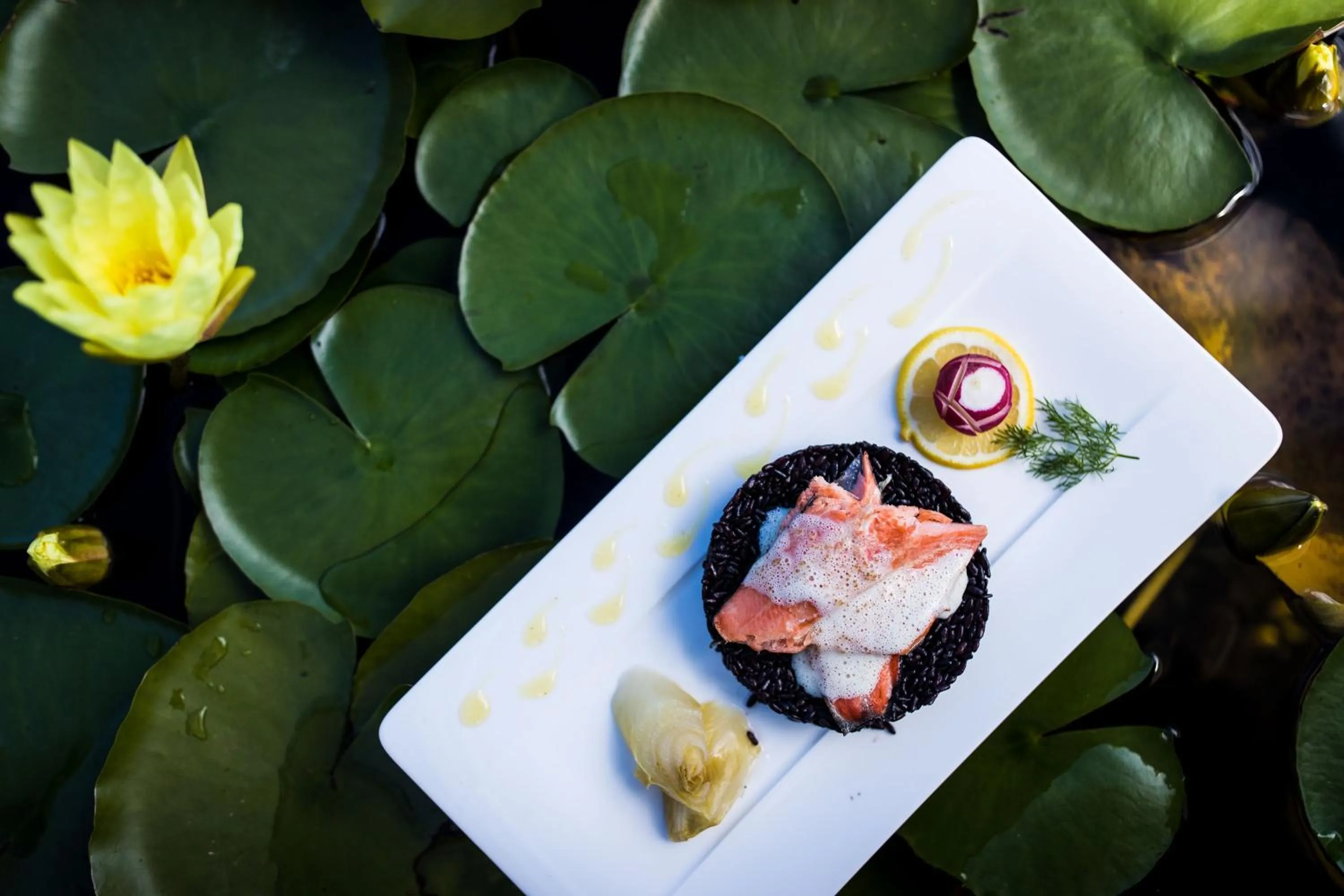 Food close-up in Hotel Weingarten