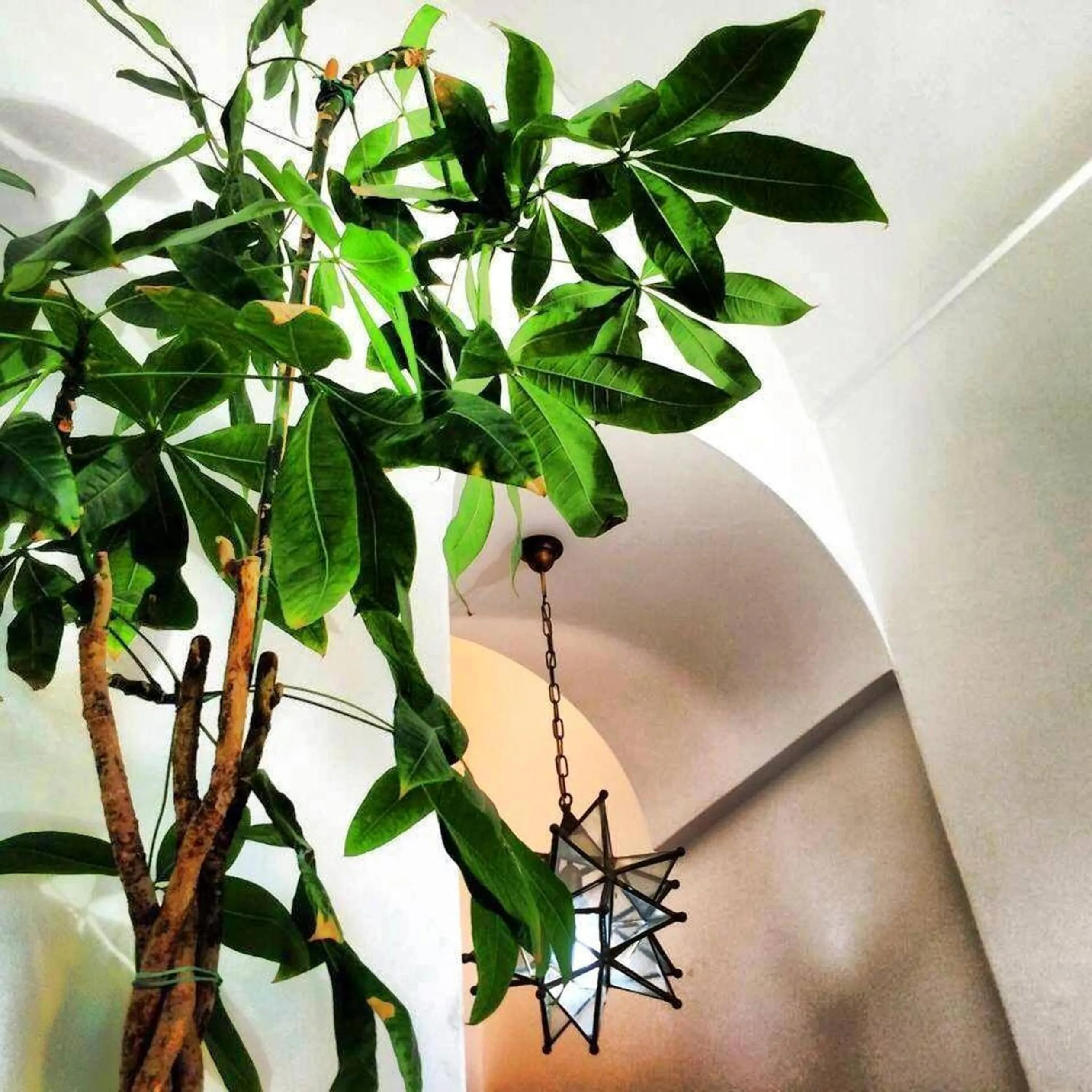 Decorative detail in Palazzo Marzoli charme Resort - Small Luxury Hotel