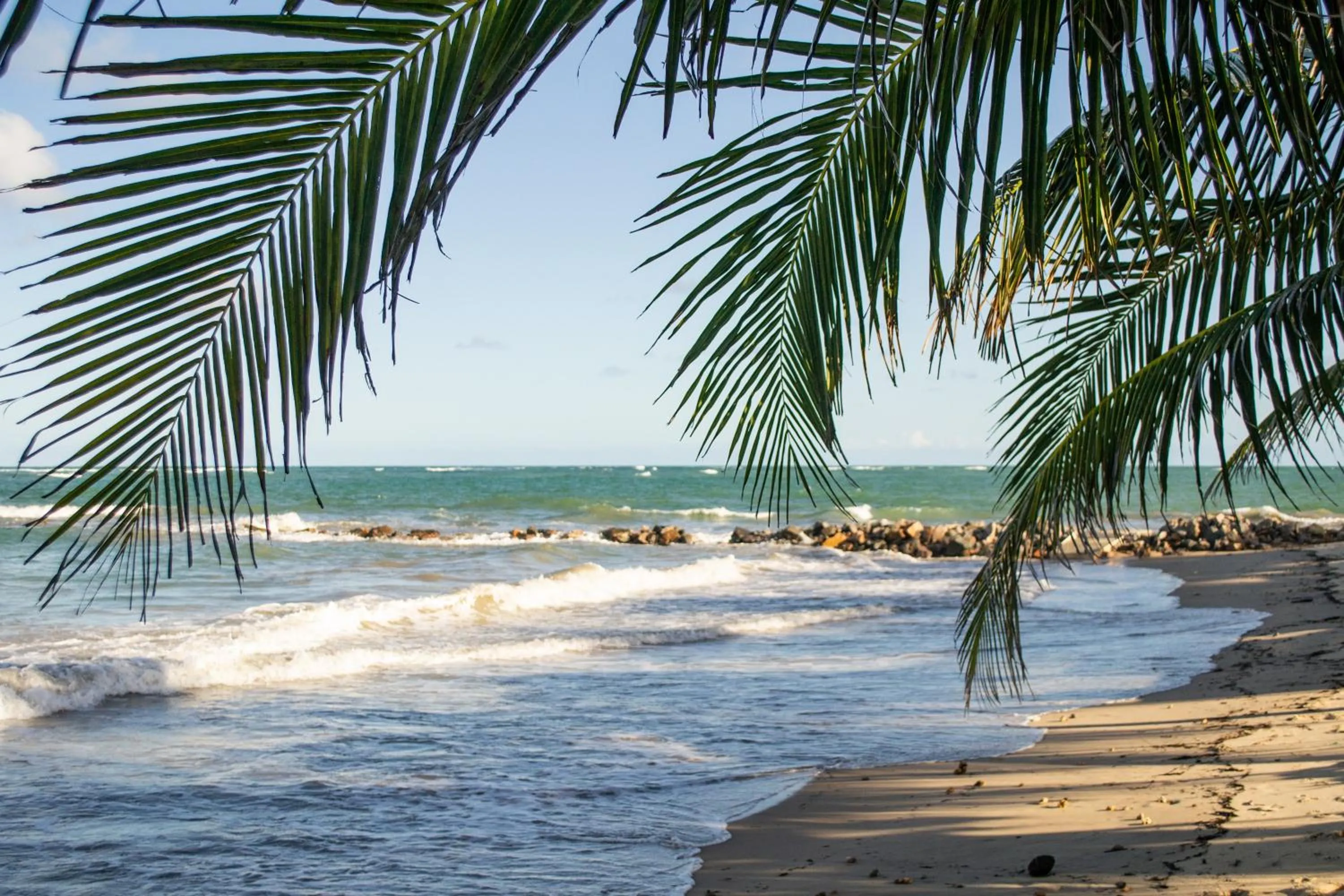 Beach in Serrambi Praia Suites