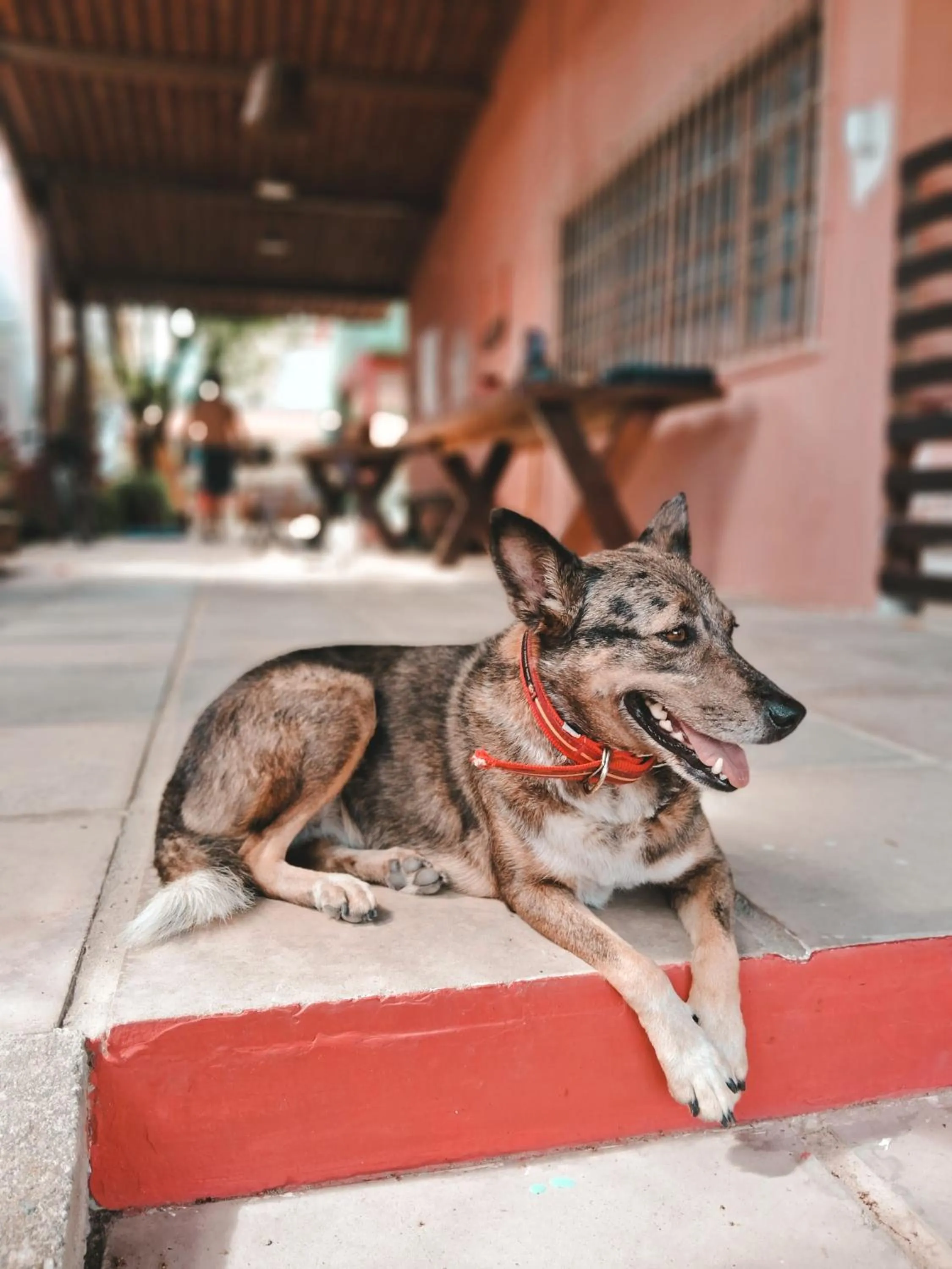 Serrambi Praia Suites