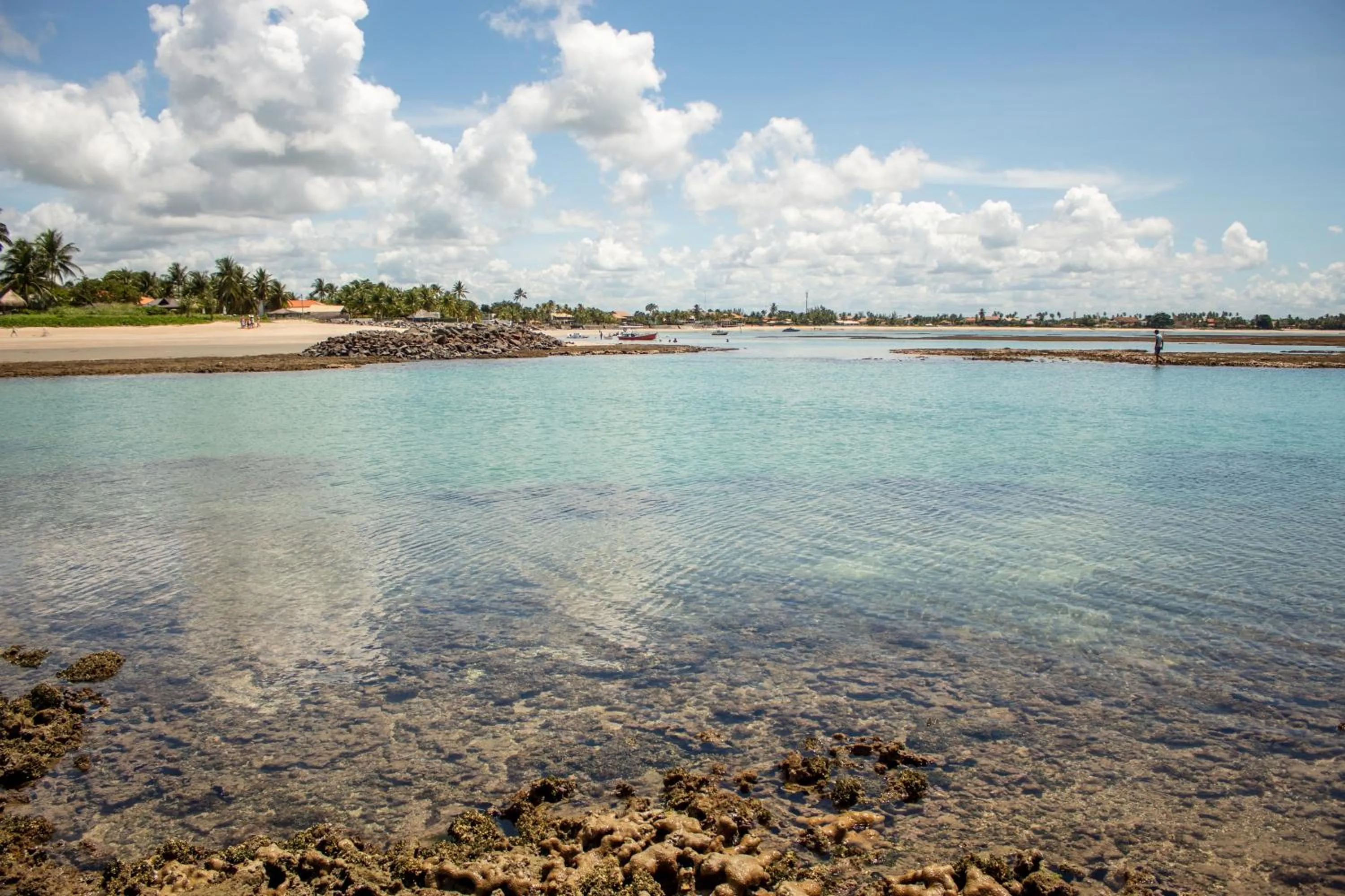 Beach in Serrambi Praia Suites