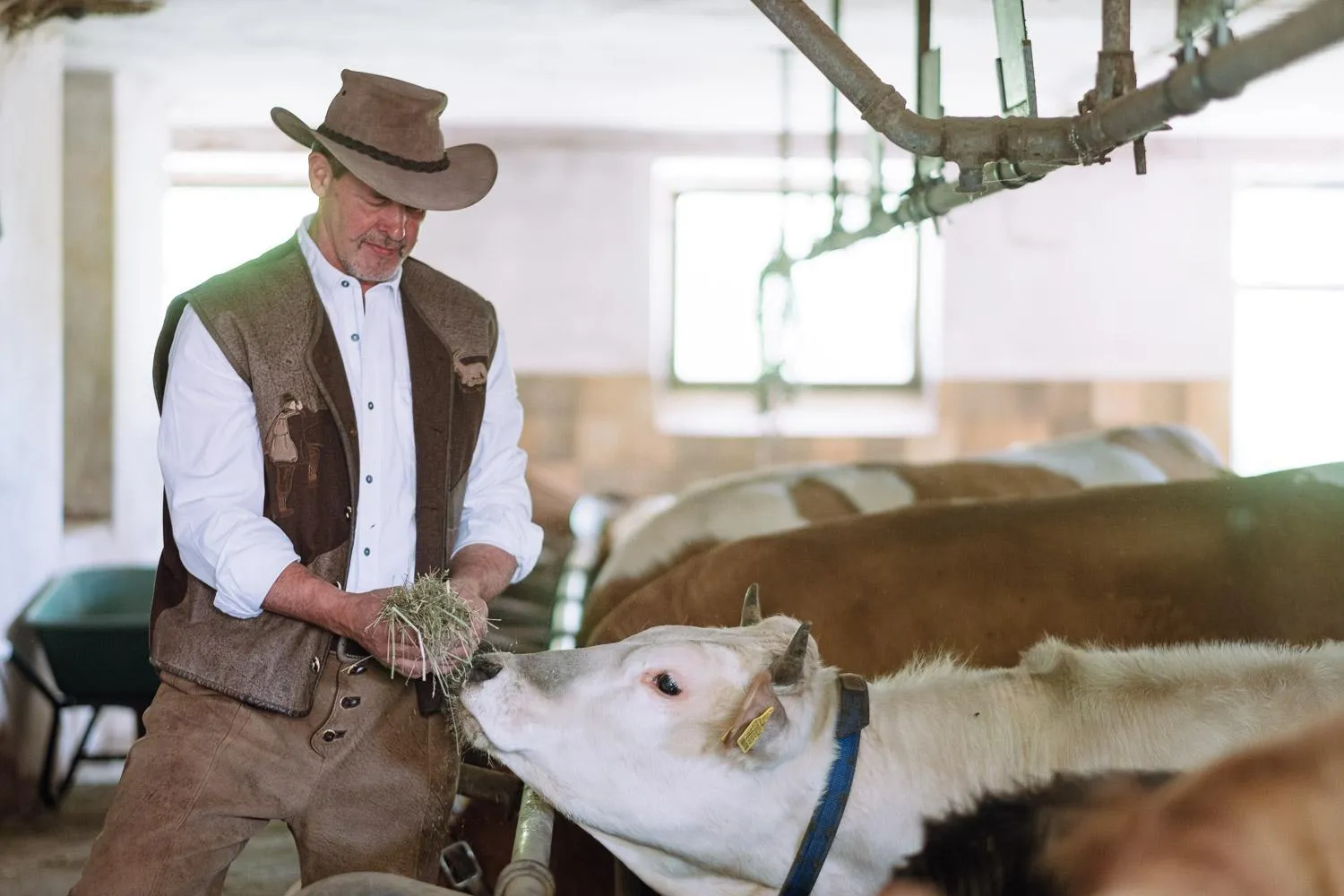 Restaurant/places to eat in Naturhotel Miraval