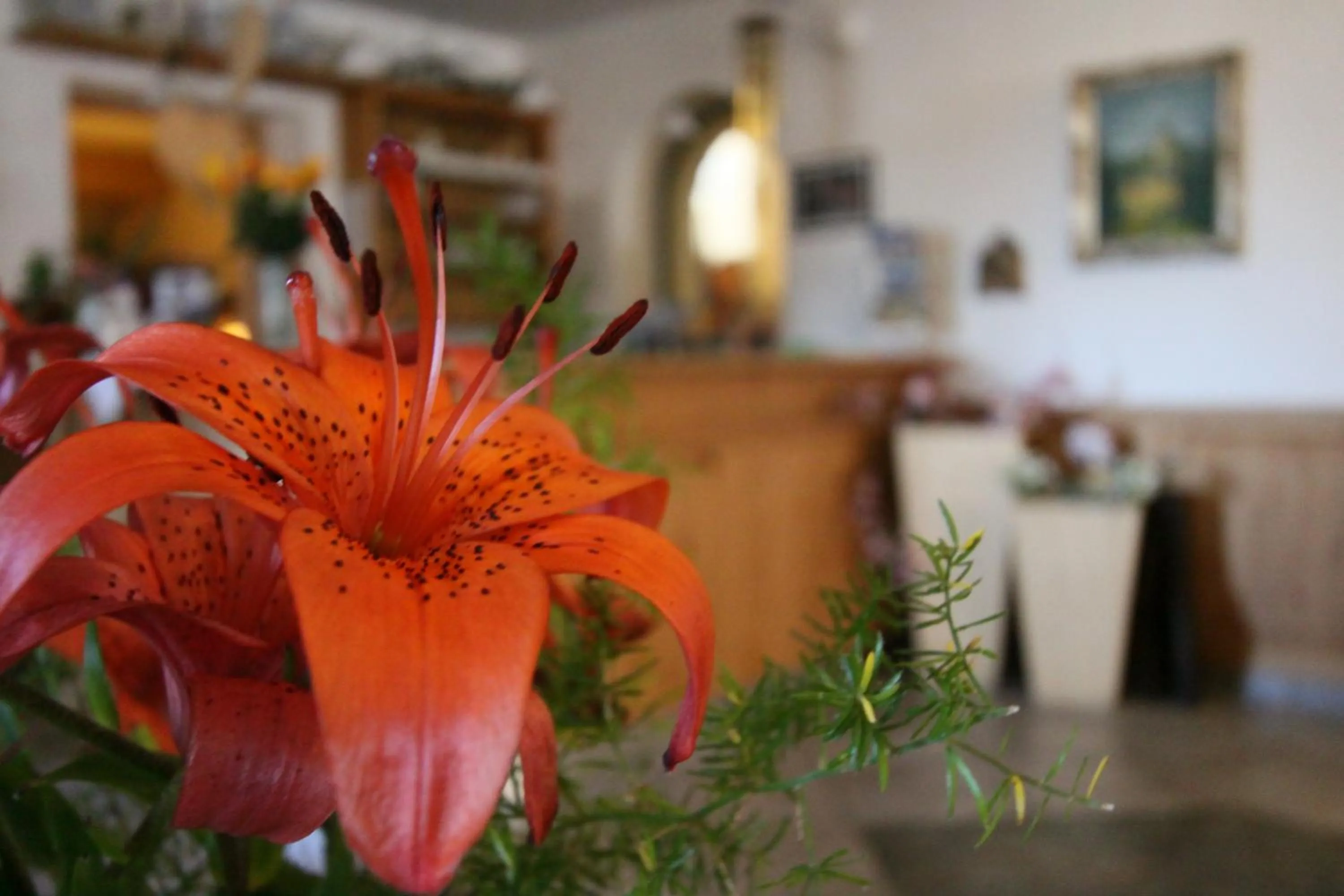 Lobby or reception in Naturhotel Miraval