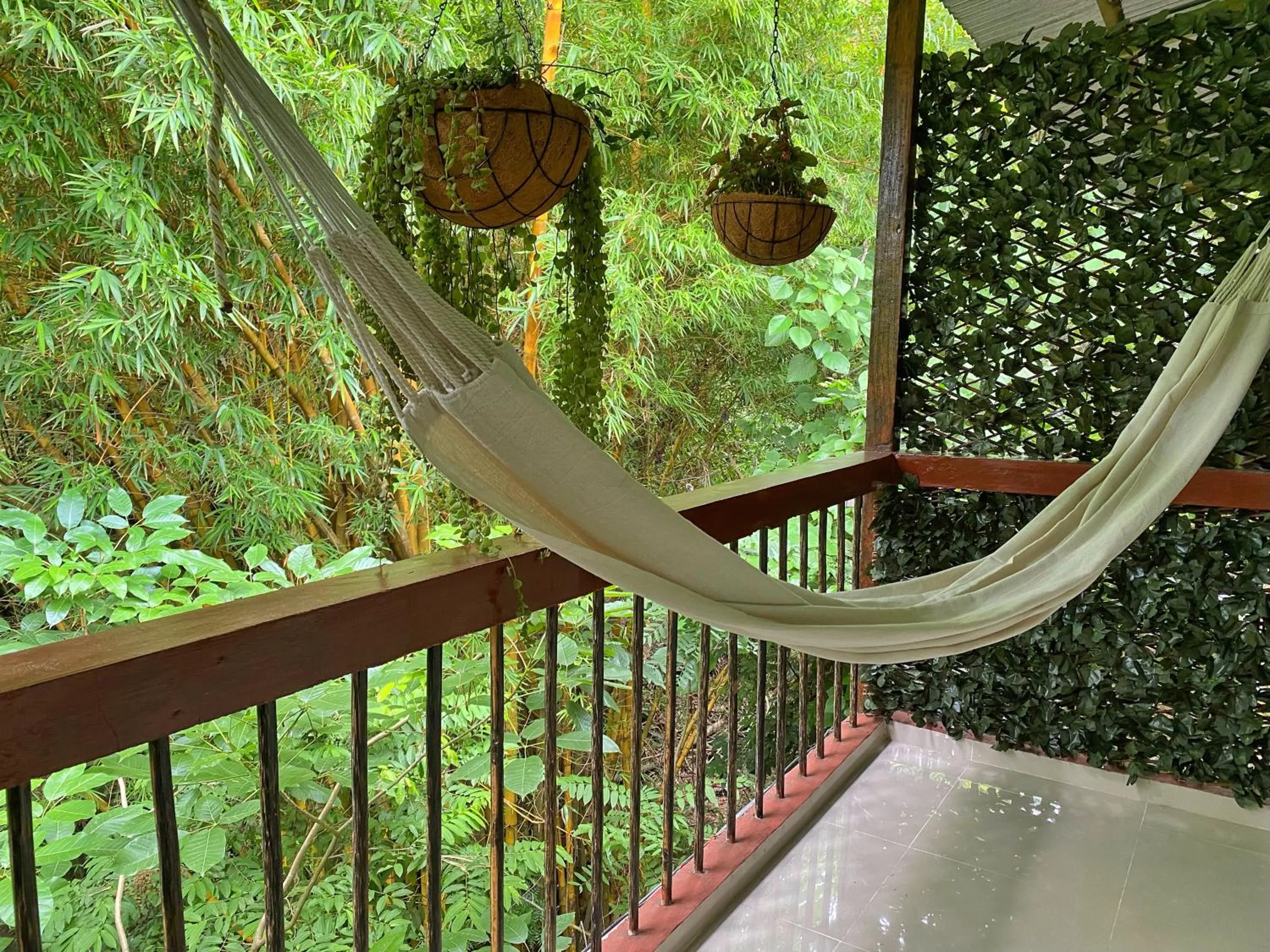 Natural landscape in Hotel La Casablanca Tayrona