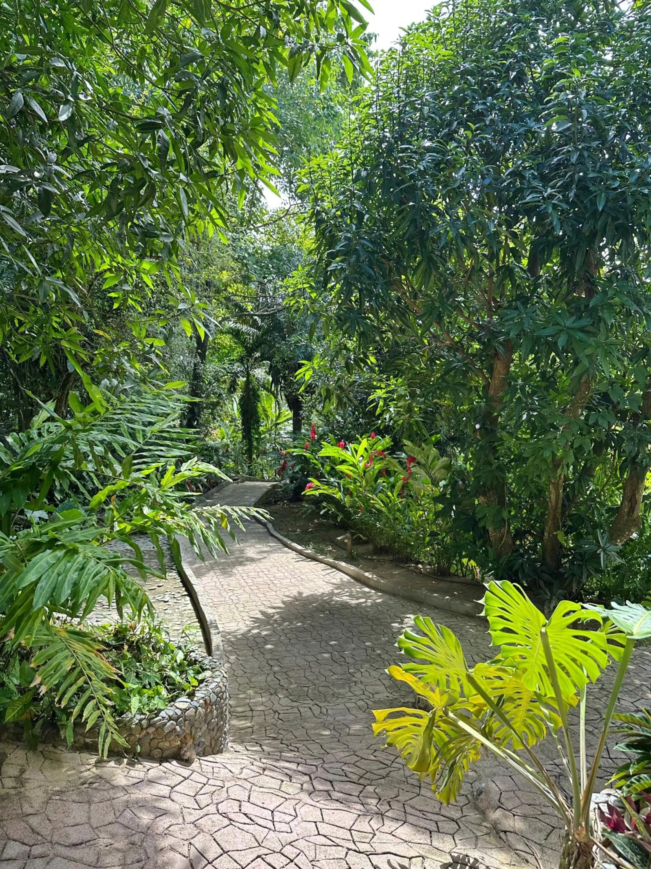 Day in Hotel La Casablanca Tayrona