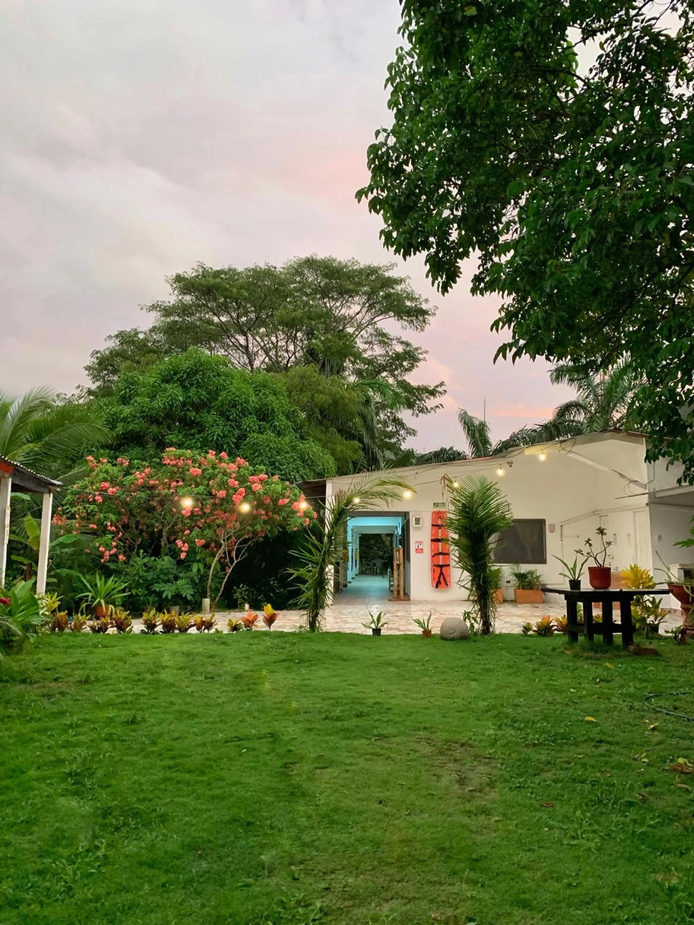 Garden in Hotel La Casablanca Tayrona