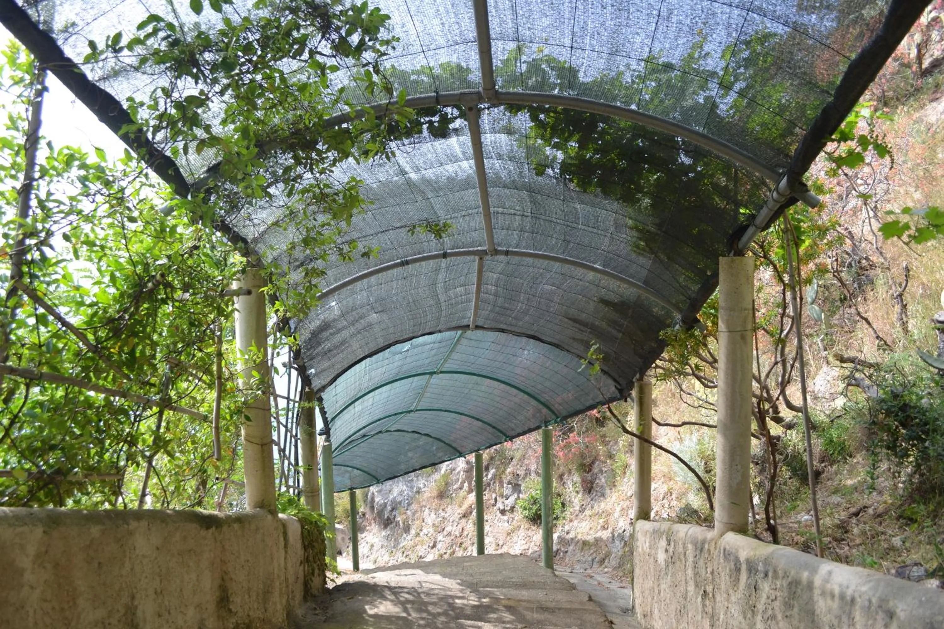 Beach in Villaggio Calispera