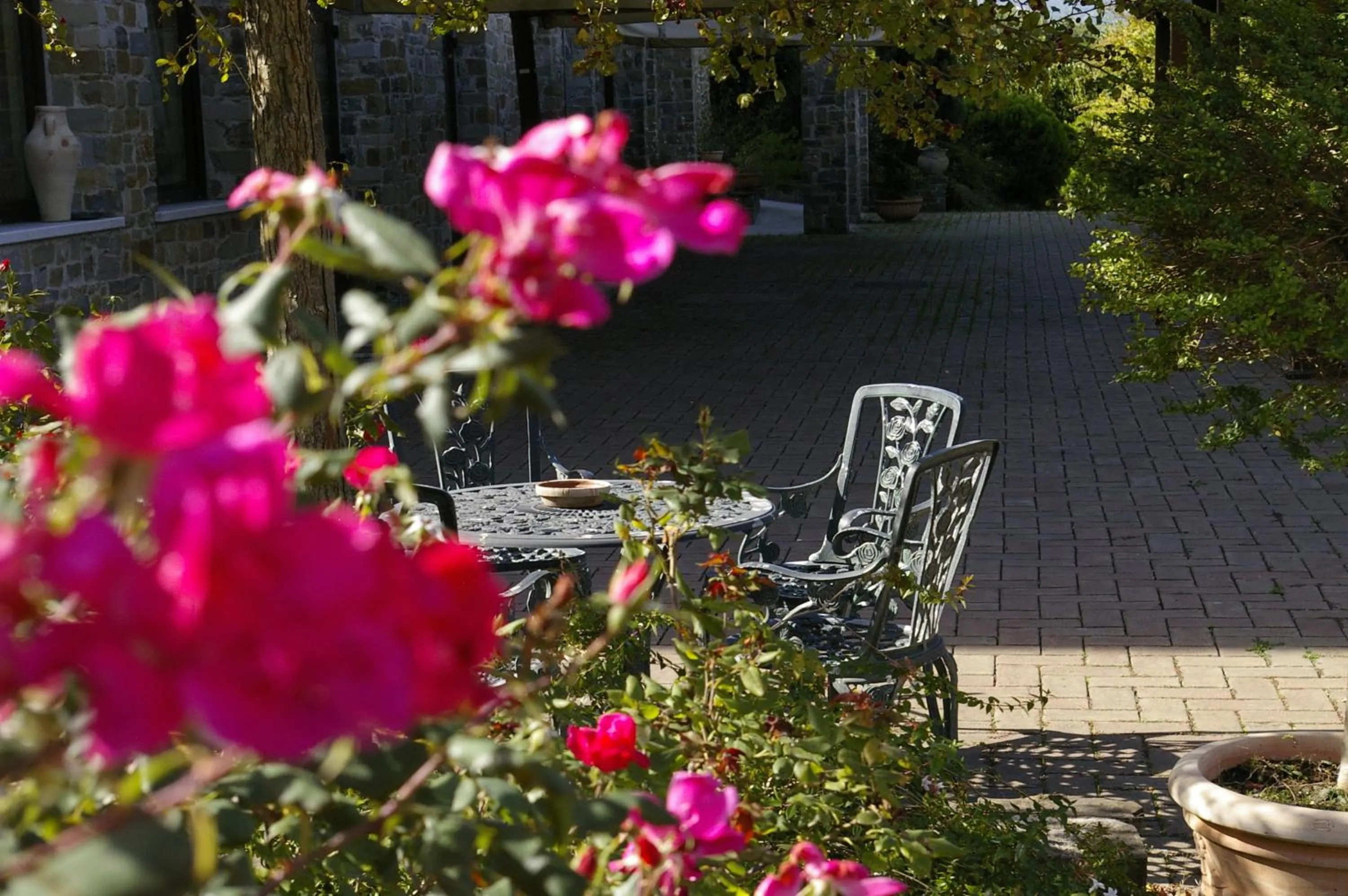 Patio in Hotel Villa Venus Resort & SPA
