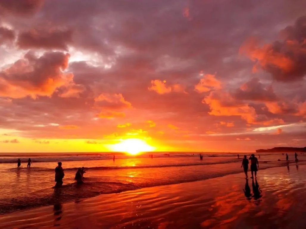Natural landscape in Hotel Tropical Sands Dominical