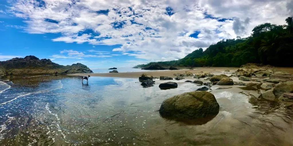 Nearby landmark in Hotel Tropical Sands Dominical