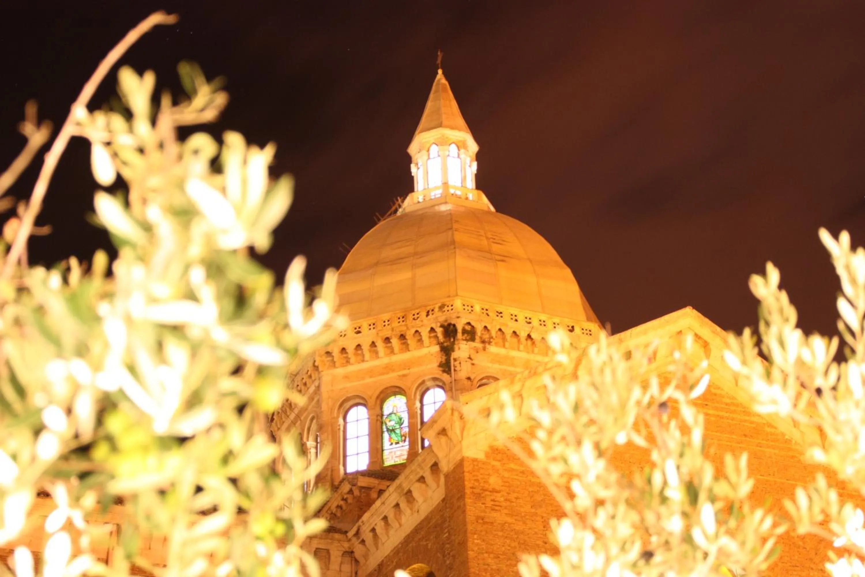 View (from property/room) in Belmonte Hotel, Dependance Alba Palace Hotel