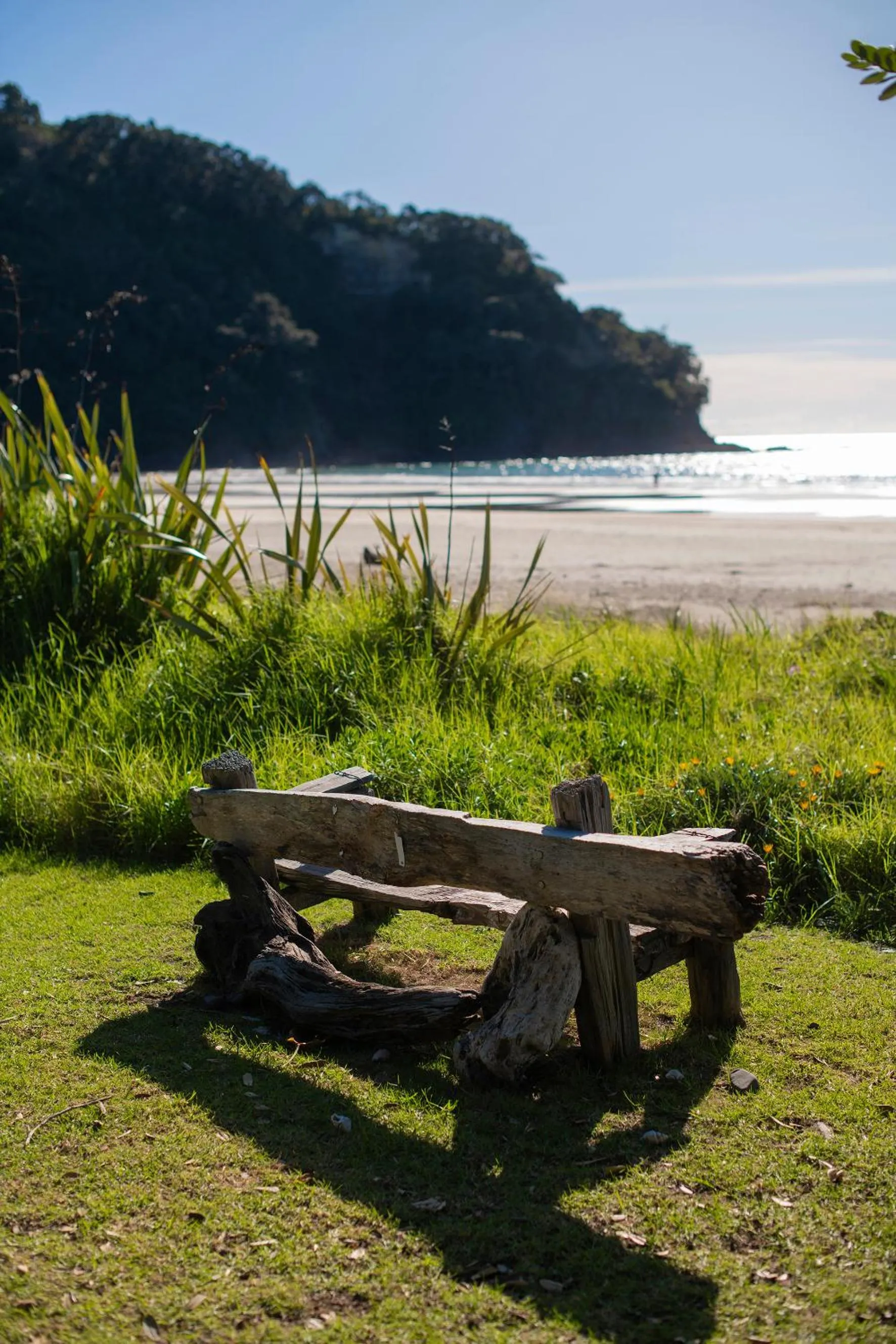 Natural landscape in Ohope Beach Motel