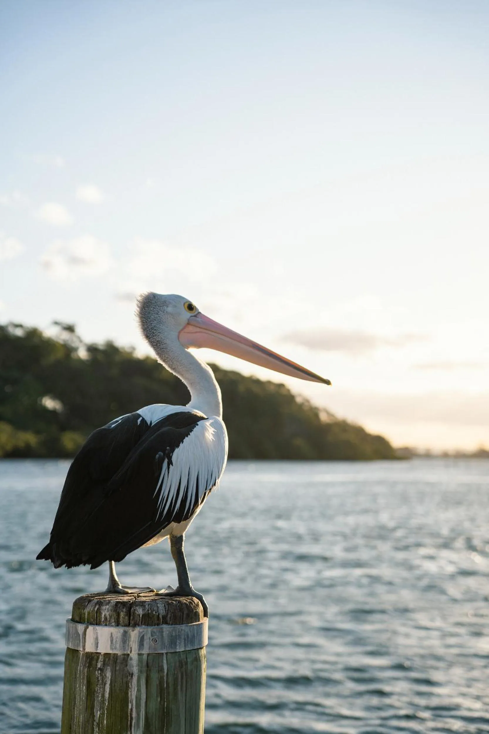 Culburra Beach Motel