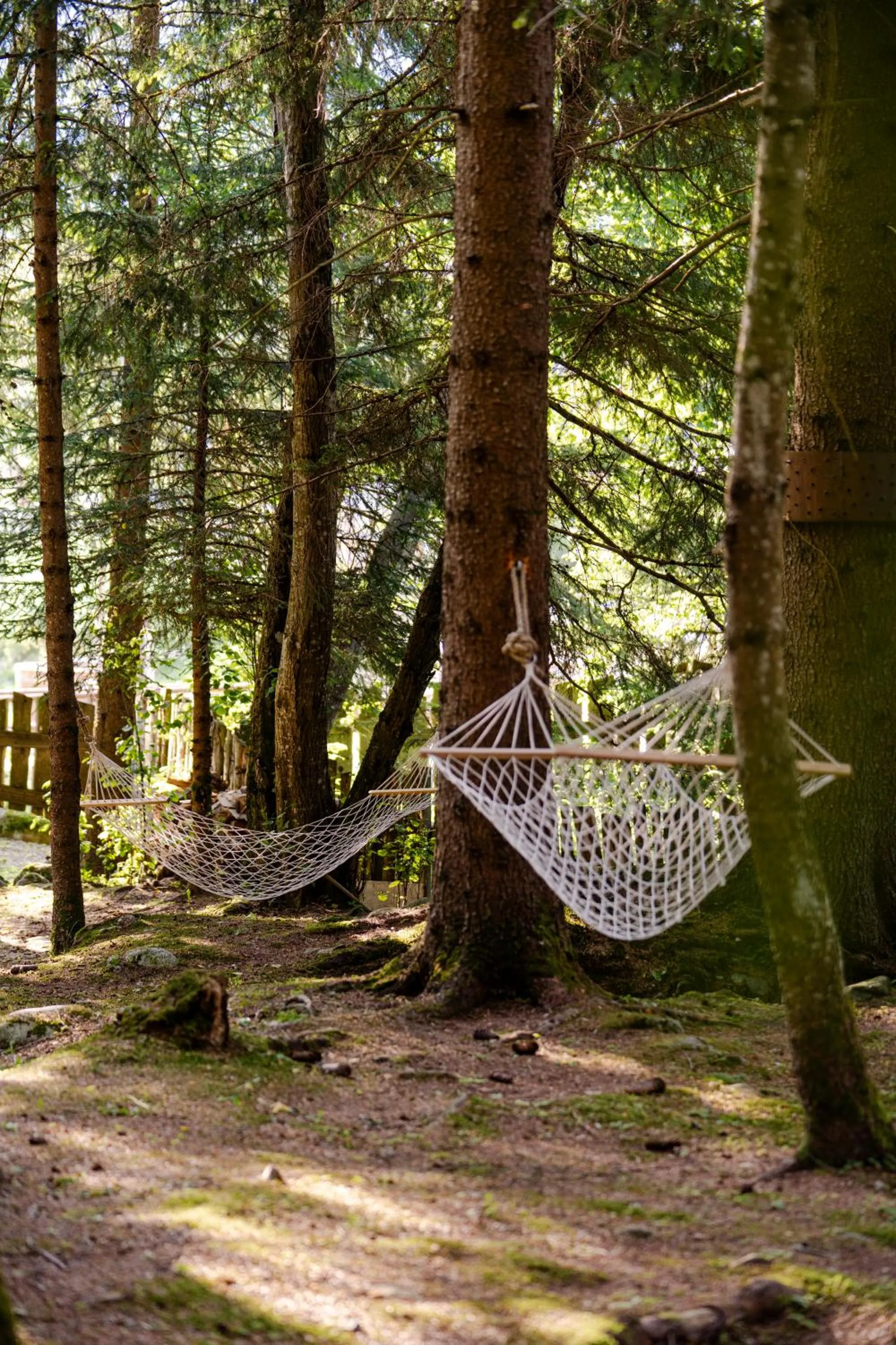 Garden view in La Tana dell'orso Hotel & SPA